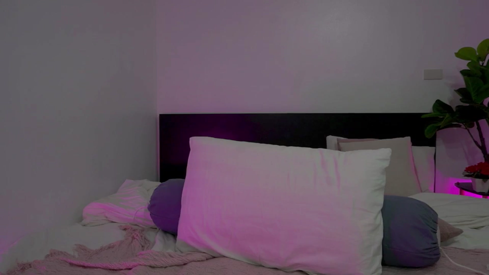 Gallery image thumbnail from Heeykitty's myfreecams stream on, 03/26/2025, 05:41 image 14 of 20