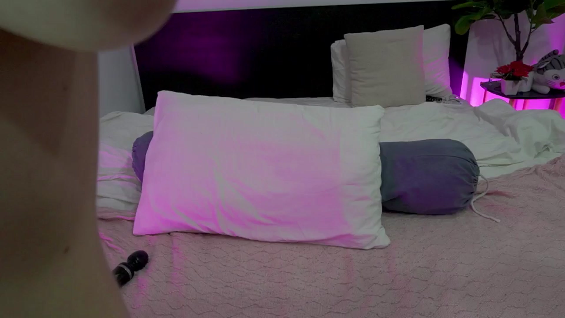 Gallery image thumbnail from Heeykitty's myfreecams stream on, 04/08/2025, 05:23 image 17 of 20