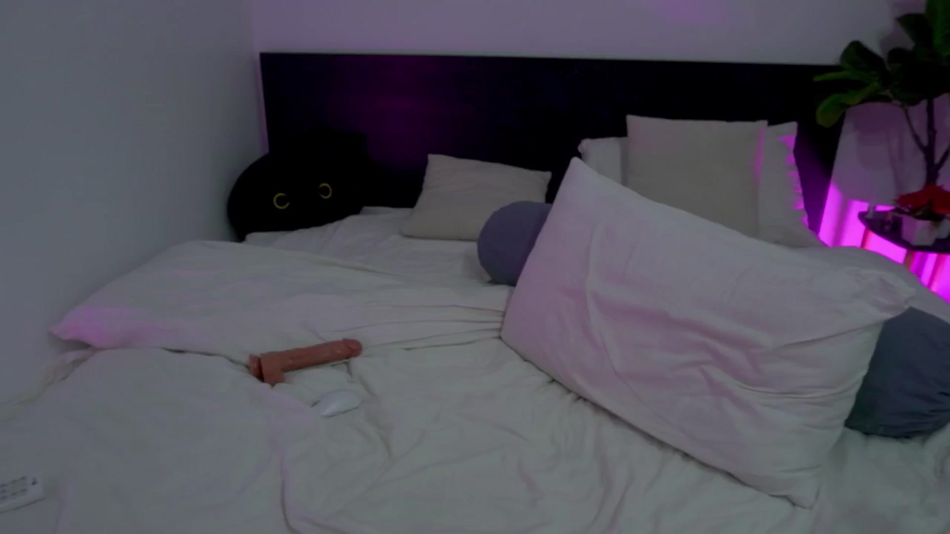 Gallery image thumbnail from Heeykitty's myfreecams stream on, 04/23/2025, 05:14 image 14 of 20