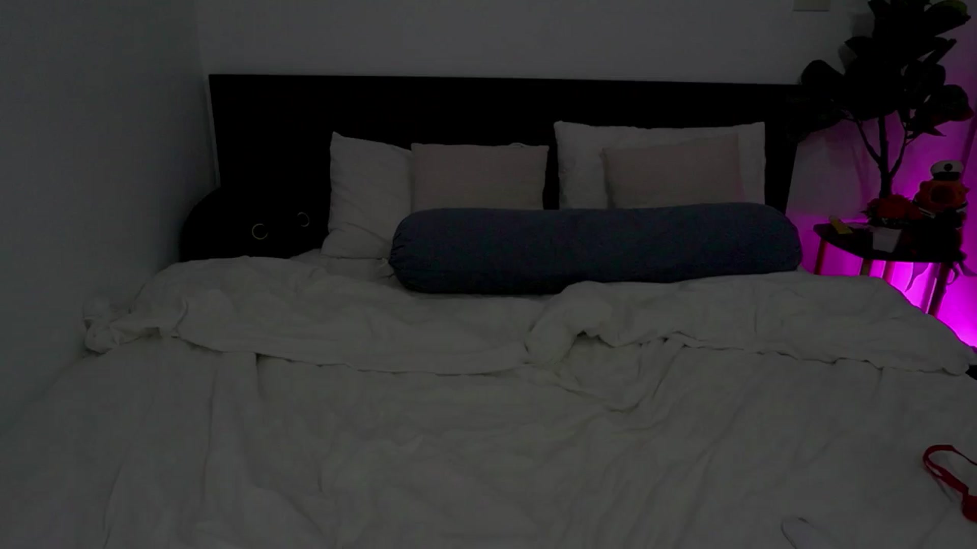Gallery image thumbnail from Heeykitty's myfreecams stream on, 06/15/2025, 04:22 image 5 of 20