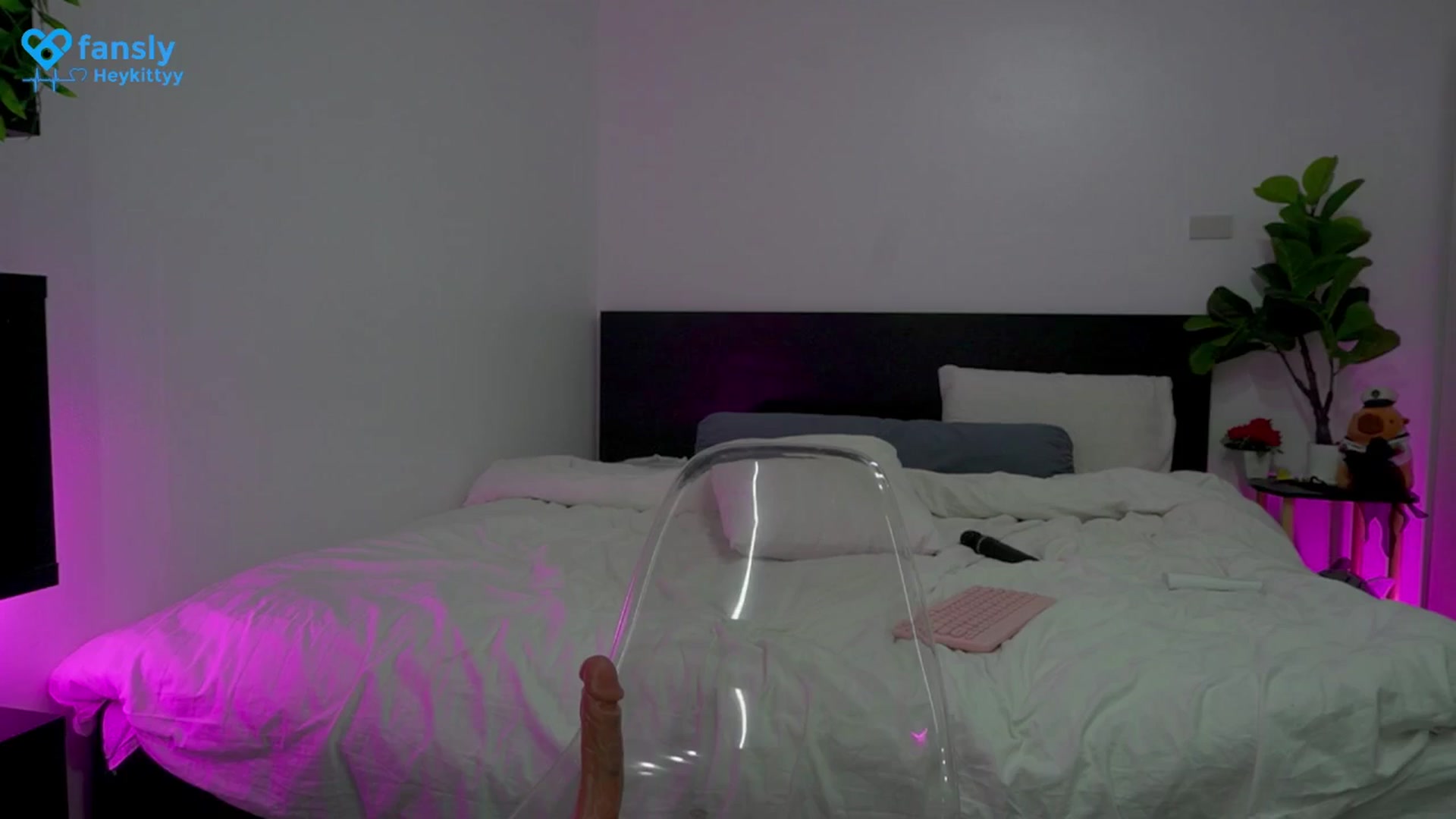 Gallery image thumbnail from Heeykitty's myfreecams stream on, 06/23/2025, 05:24 image 10 of 20