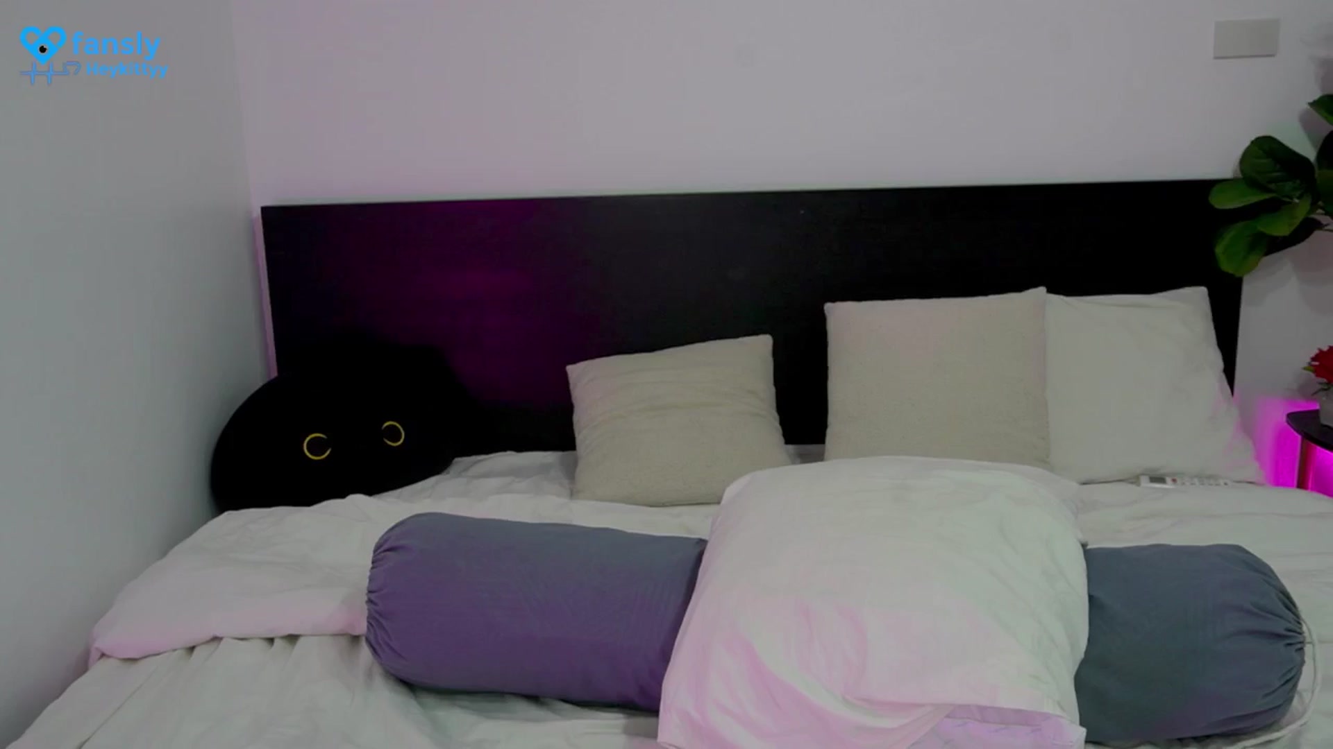 Gallery image thumbnail from Heeykitty's myfreecams stream on, 07/01/2025, 04:41 image 18 of 20
