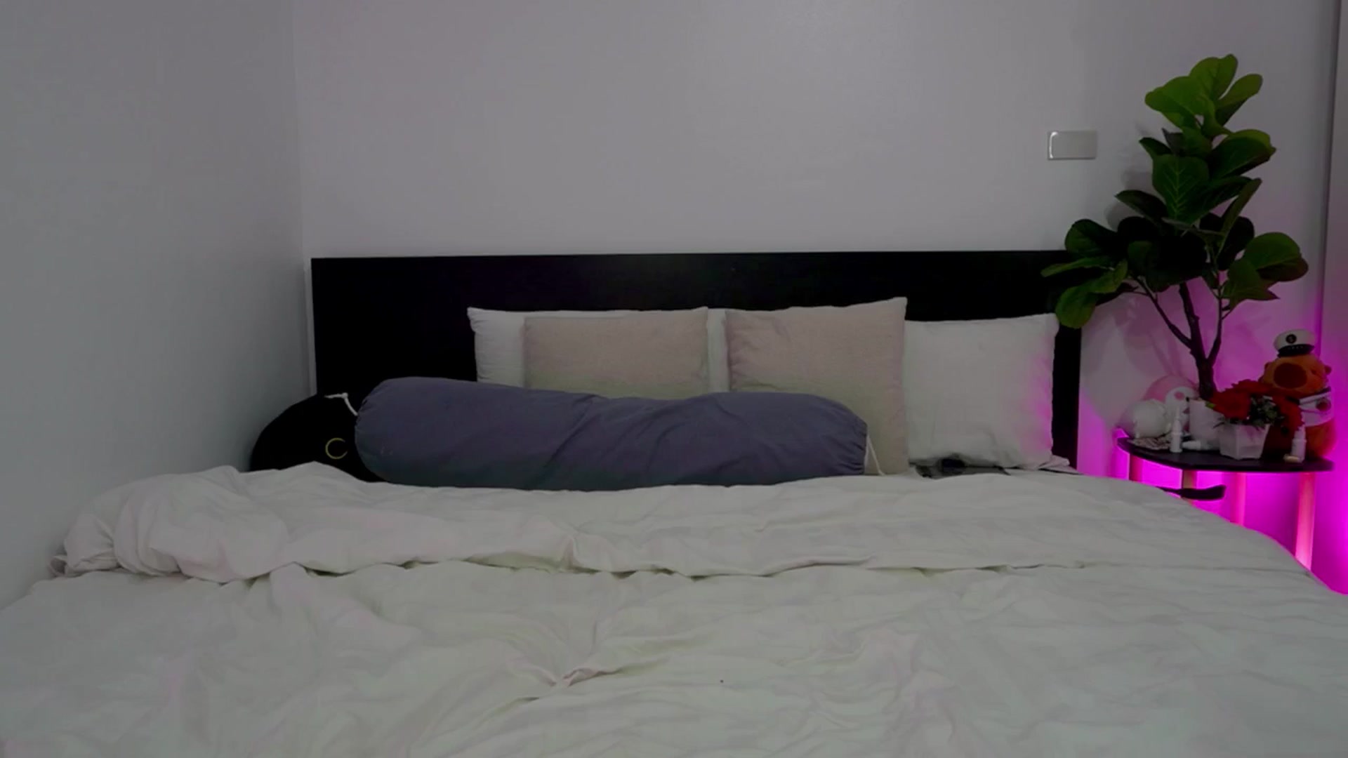 Gallery image thumbnail from Heeykitty's myfreecams stream on, 10/20/2025, 08:33 image 15 of 20