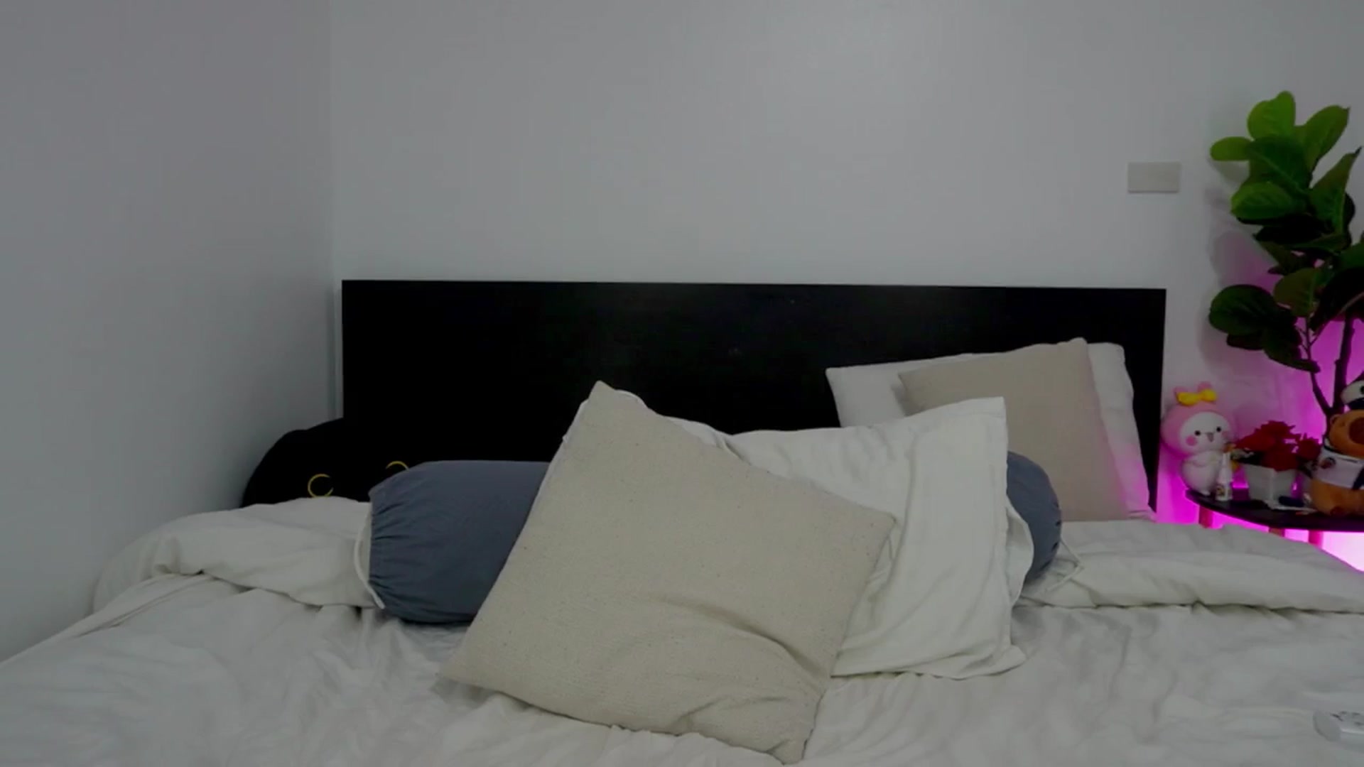 Gallery image thumbnail from Heeykitty's myfreecams stream on, 11/17/2025, 03:22 image 10 of 20