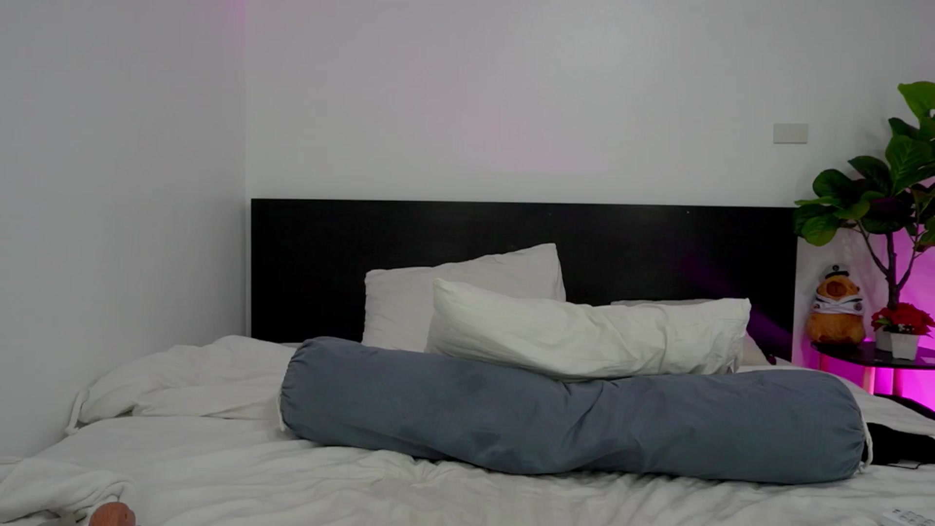 Gallery image thumbnail from Heeykitty's myfreecams stream on, 01/02/2026, 03:28 image 4 of 20