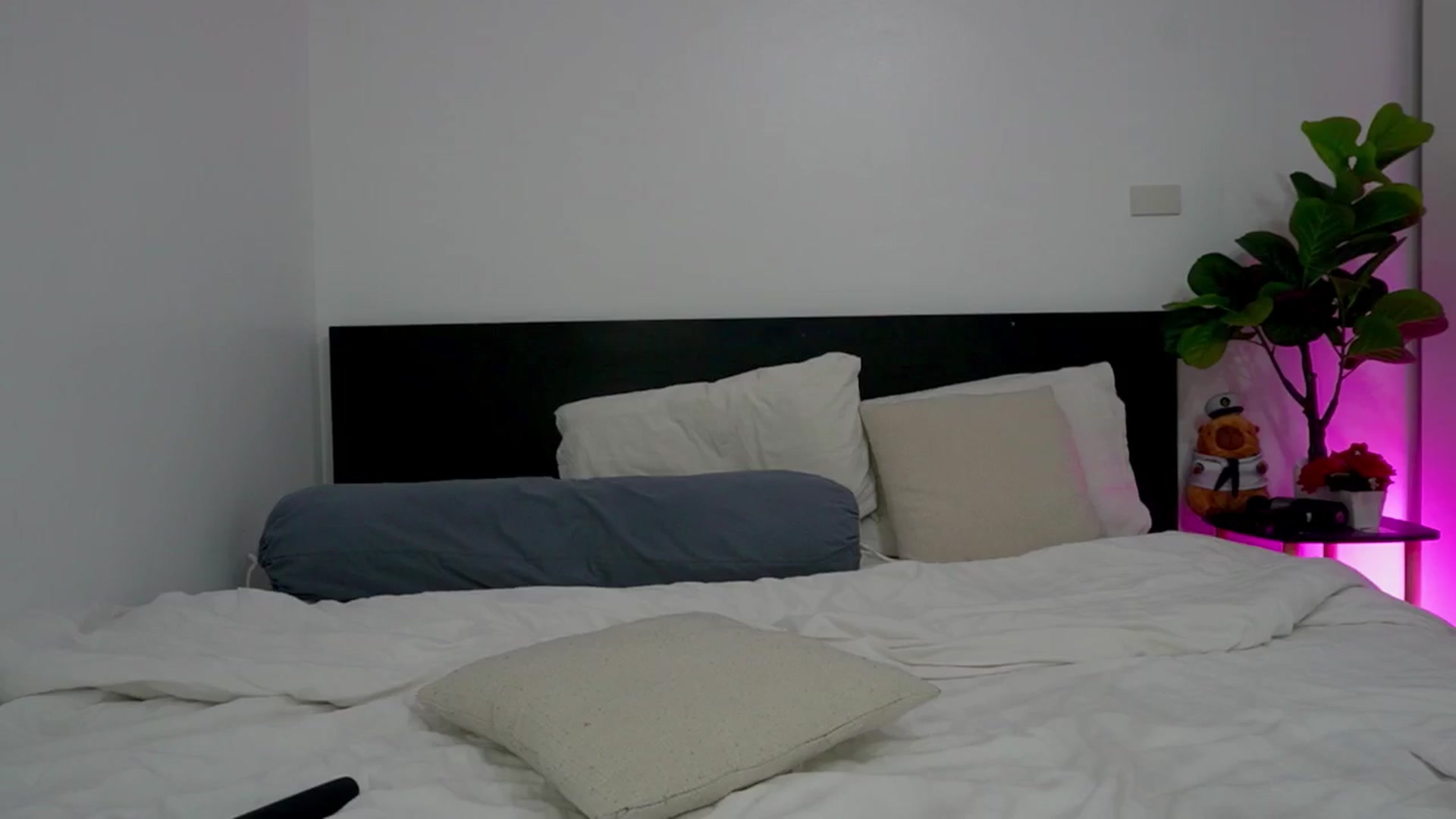 Gallery image thumbnail from Heeykitty's myfreecams stream on, 02/23/2026, 04:35 image 5 of 20