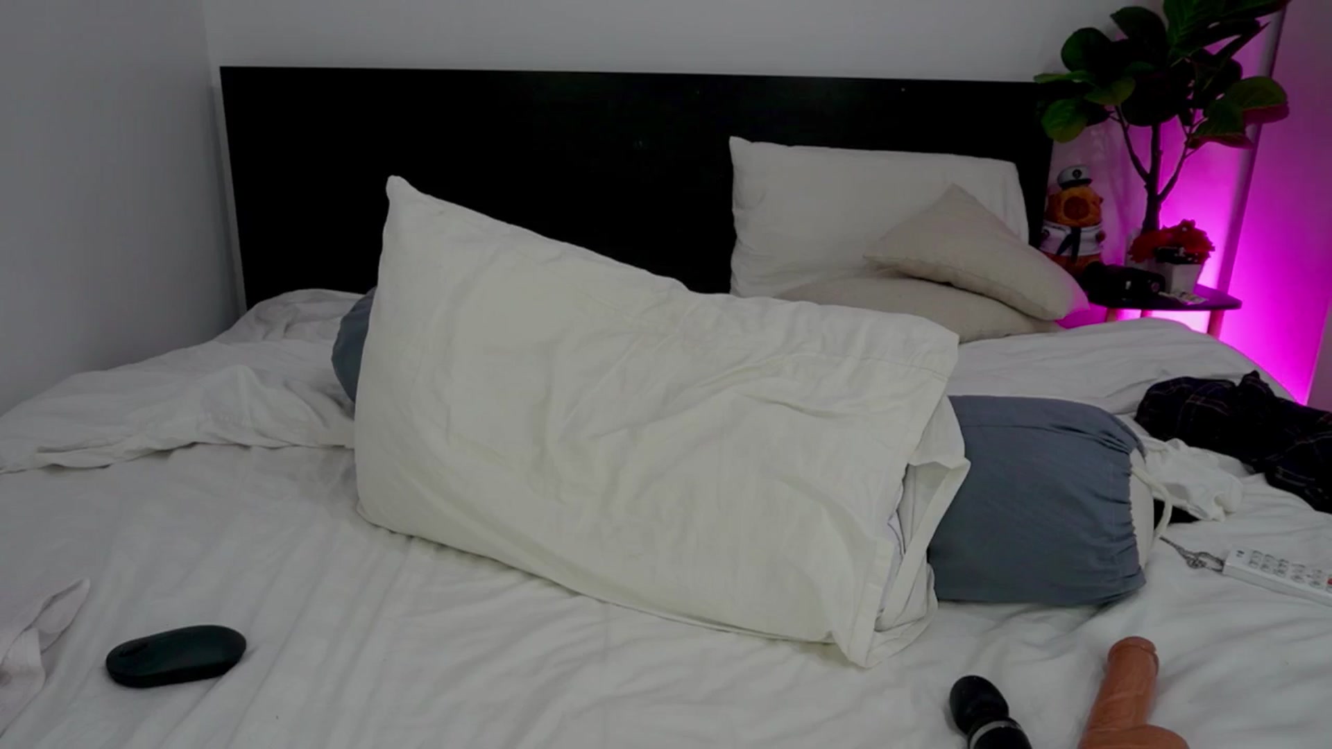 Gallery image thumbnail from Heeykitty's myfreecams stream on, 03/02/2026, 05:35 image 12 of 20