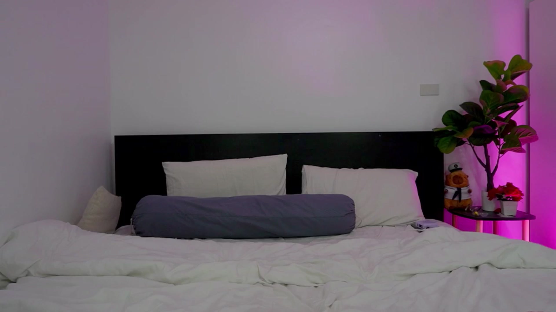 Gallery image thumbnail from Heeykitty's myfreecams stream on, 03/19/2026, 02:26 image 10 of 20