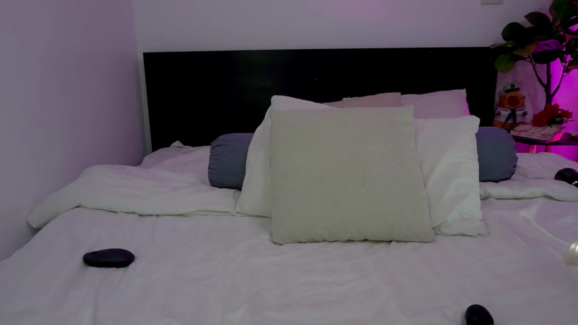 Gallery image thumbnail from Heeykitty's myfreecams stream on, 05/19/2026, 02:17 image 18 of 20