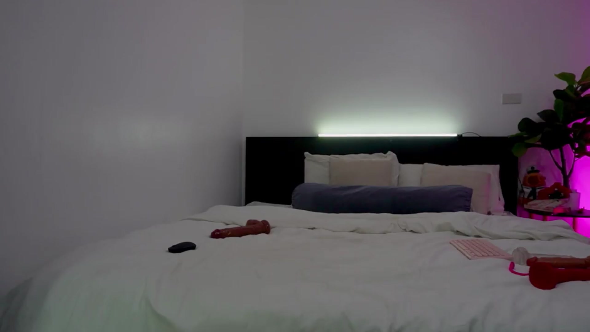 Gallery image thumbnail from Heeykitty's myfreecams stream on, 06/23/2026, 02:25 image 19 of 20