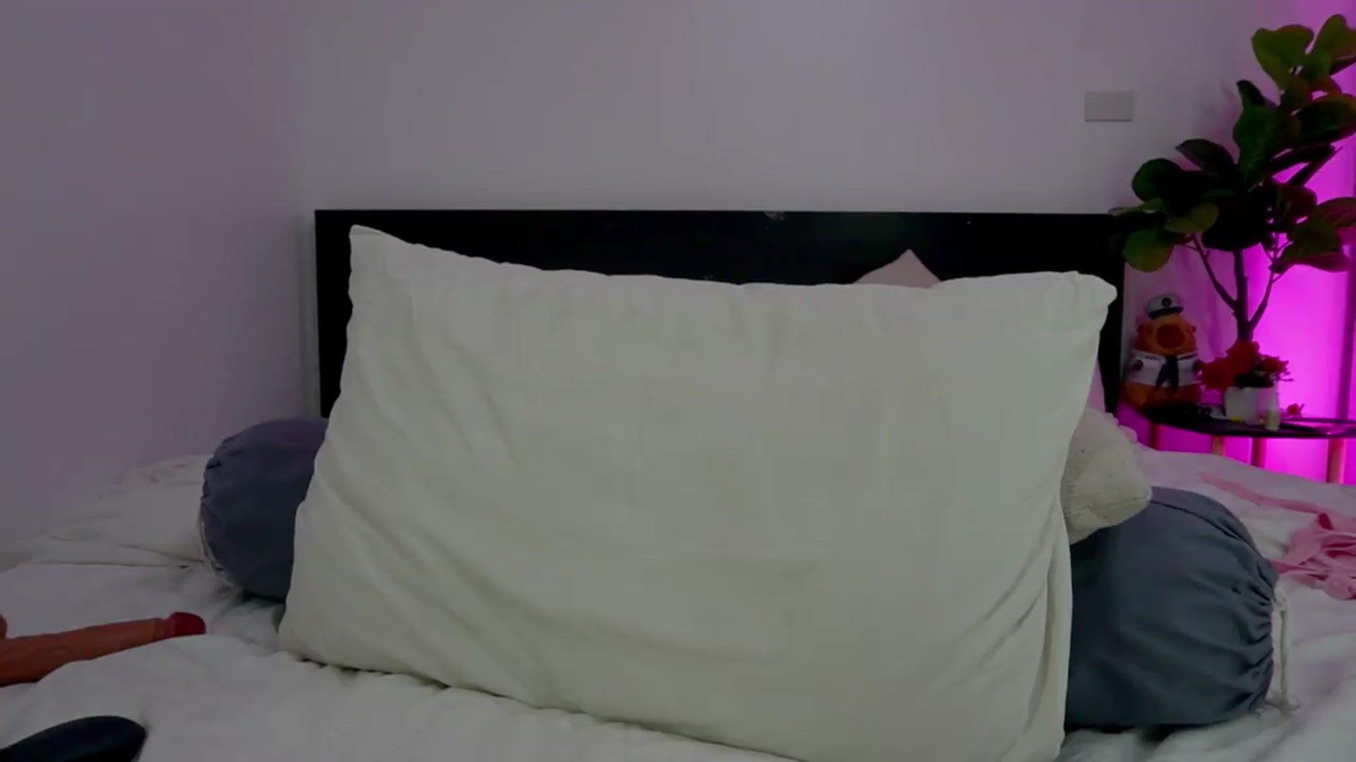 Gallery image thumbnail from Heeykitty's myfreecams stream on, 07/01/2026, 04:06 image 10 of 20