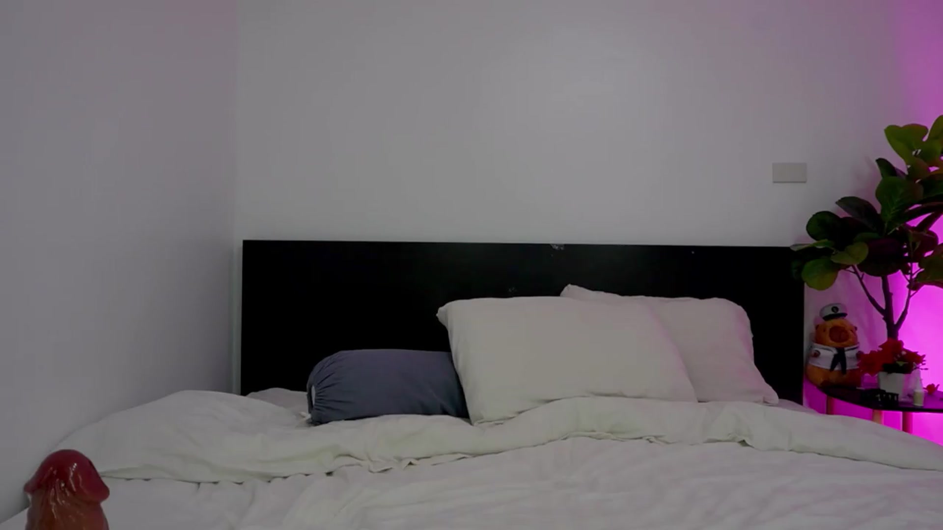 Gallery image thumbnail from Heeykitty's myfreecams stream on, 07/09/2026, 05:01 image 17 of 20