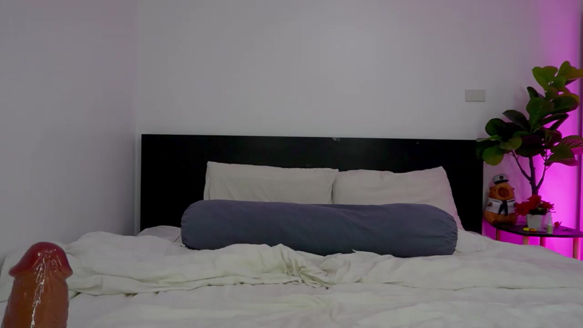 Gallery image thumbnail from Heeykitty's myfreecams stream on, 07/11/2026, 04:27 image 8 of 20