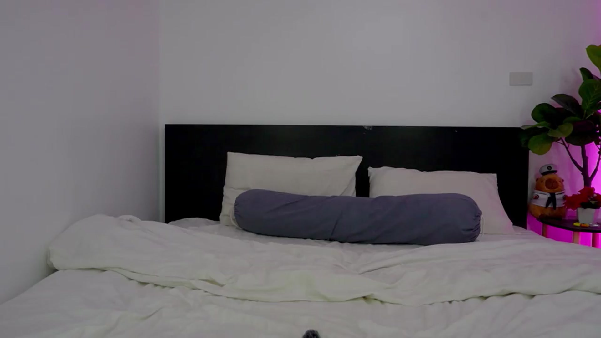 Gallery image thumbnail from Heeykitty's myfreecams stream on, 07/13/2026, 04:00 image 2 of 20