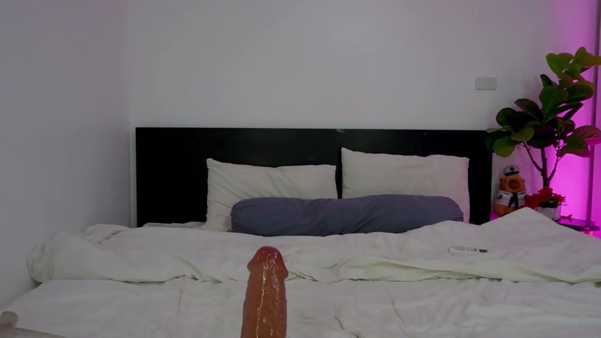 Gallery image thumbnail from Heeykitty's myfreecams stream on, 08/02/2026, 03:49 image 3 of 20