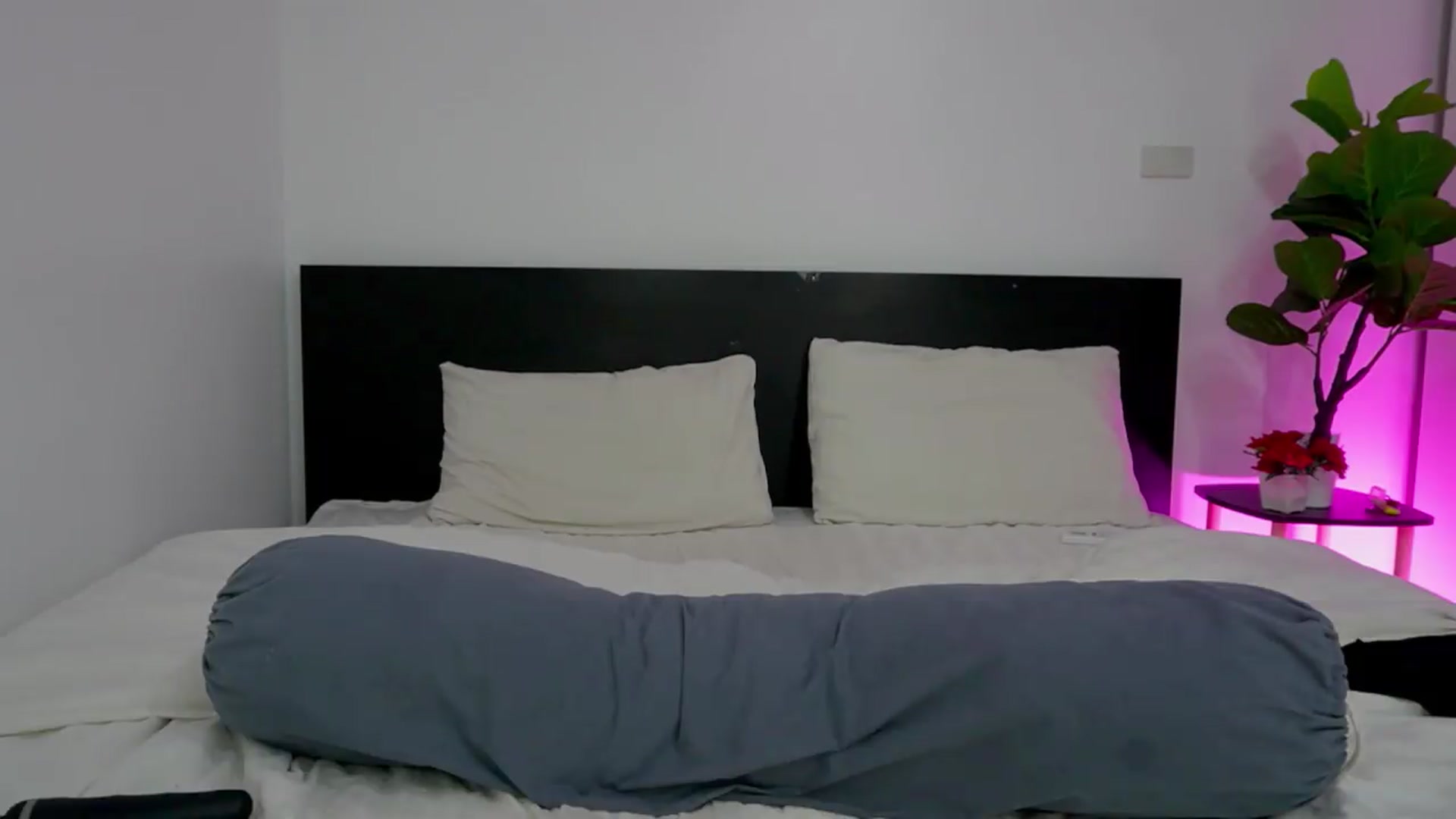 Gallery image thumbnail from Heeykitty's myfreecams stream on, 08/03/2026, 03:33 image 19 of 20