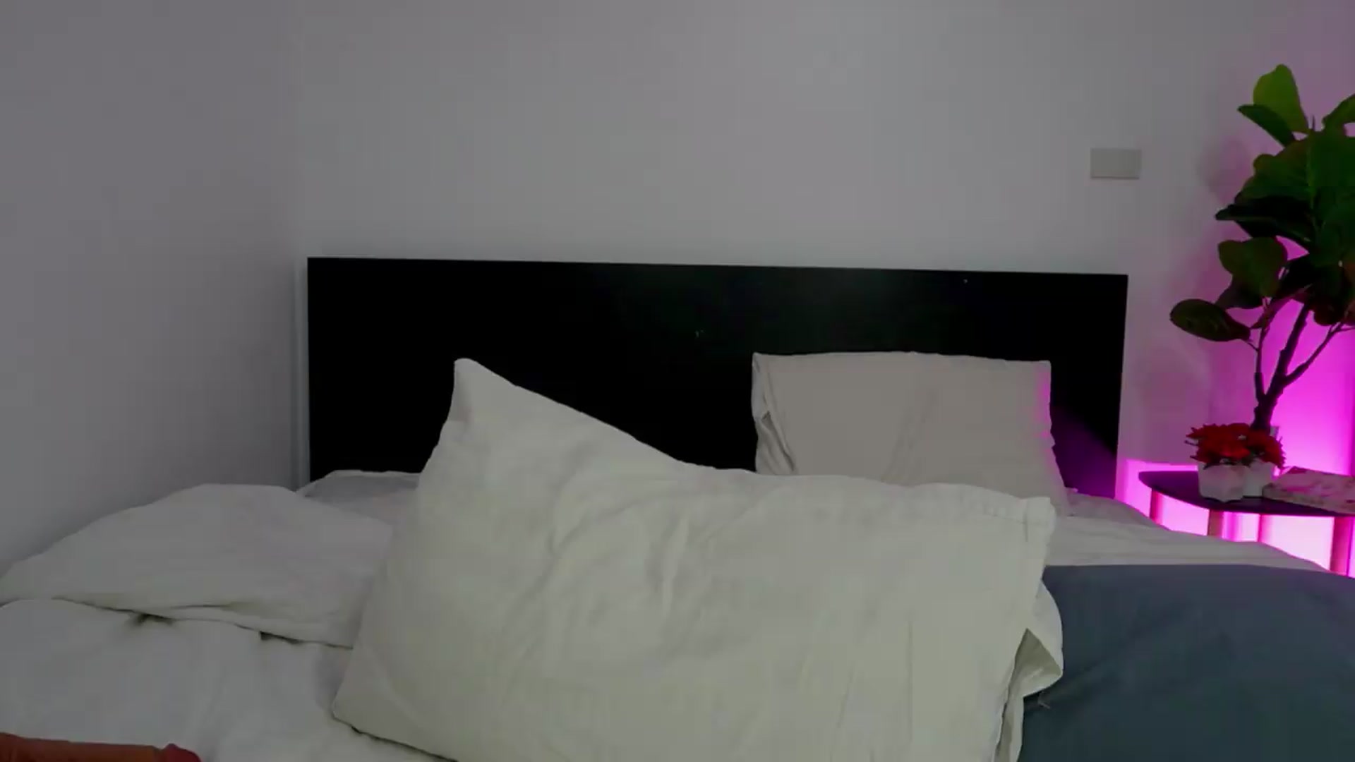 Gallery image thumbnail from Heeykitty's myfreecams stream on, 08/09/2026, 03:57 image 10 of 20