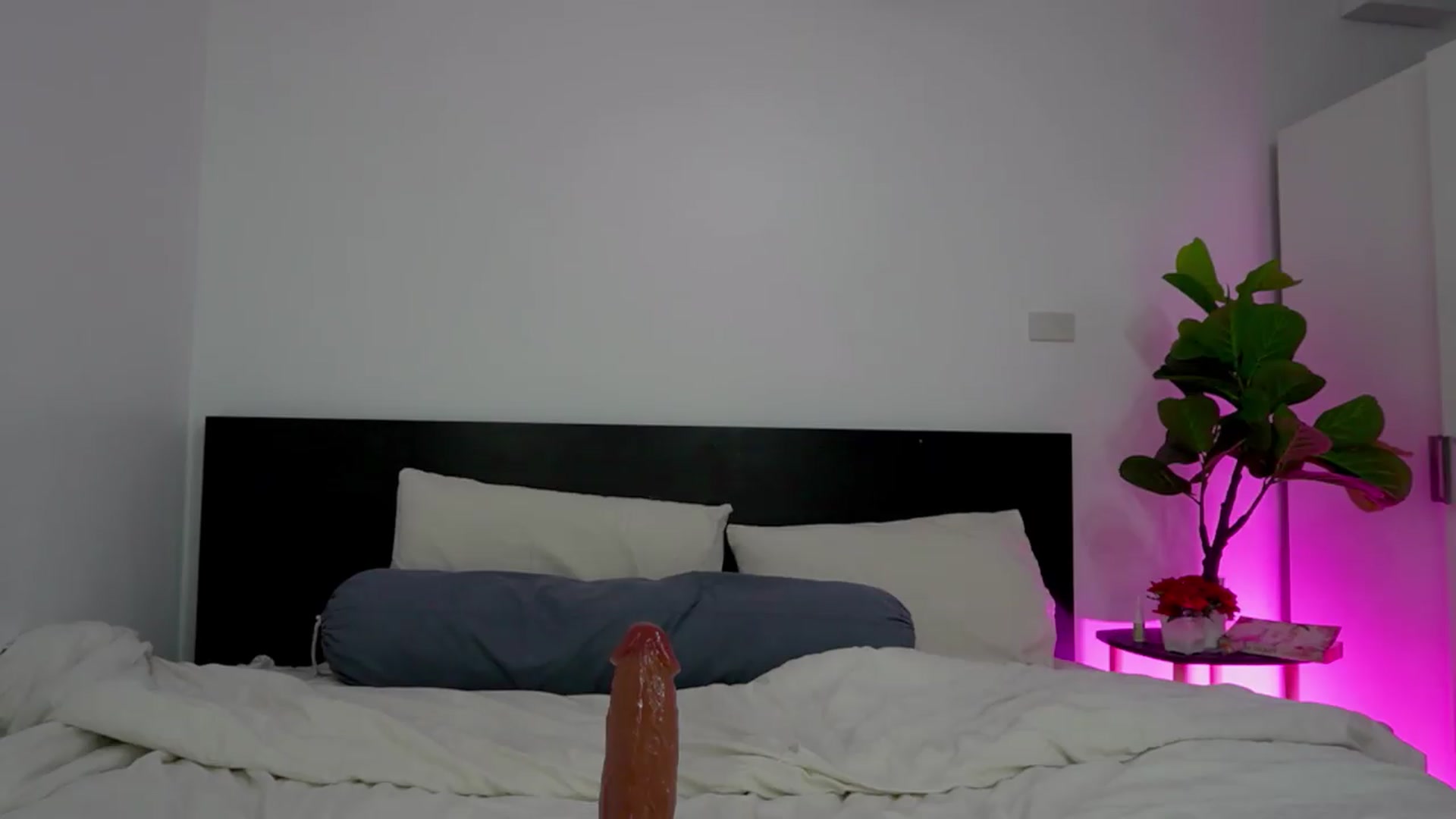 Gallery image thumbnail from Heeykitty's myfreecams stream on, 08/14/2026, 03:00 image 18 of 20
