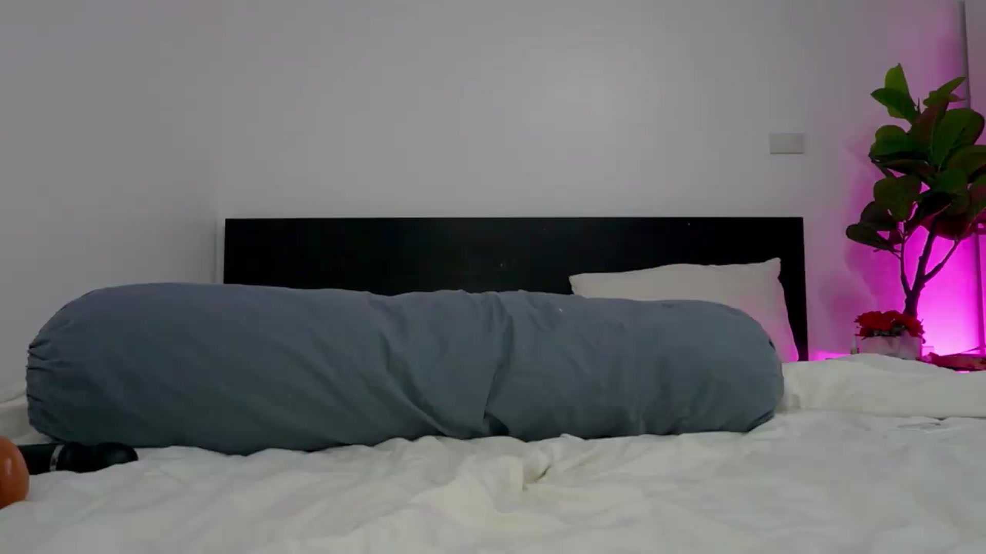 Gallery image thumbnail from Heeykitty's myfreecams stream on, 08/30/2026, 03:46 image 13 of 20