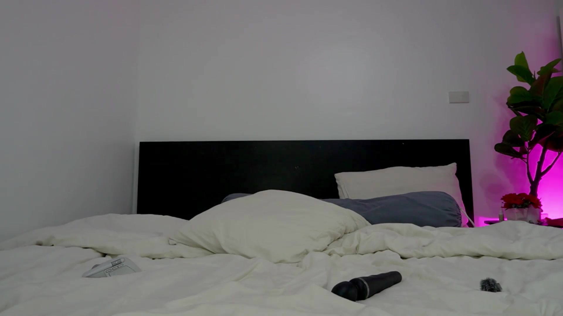 Gallery image thumbnail from Heeykitty's myfreecams stream on, 08/30/2026, 04:54 image 19 of 20