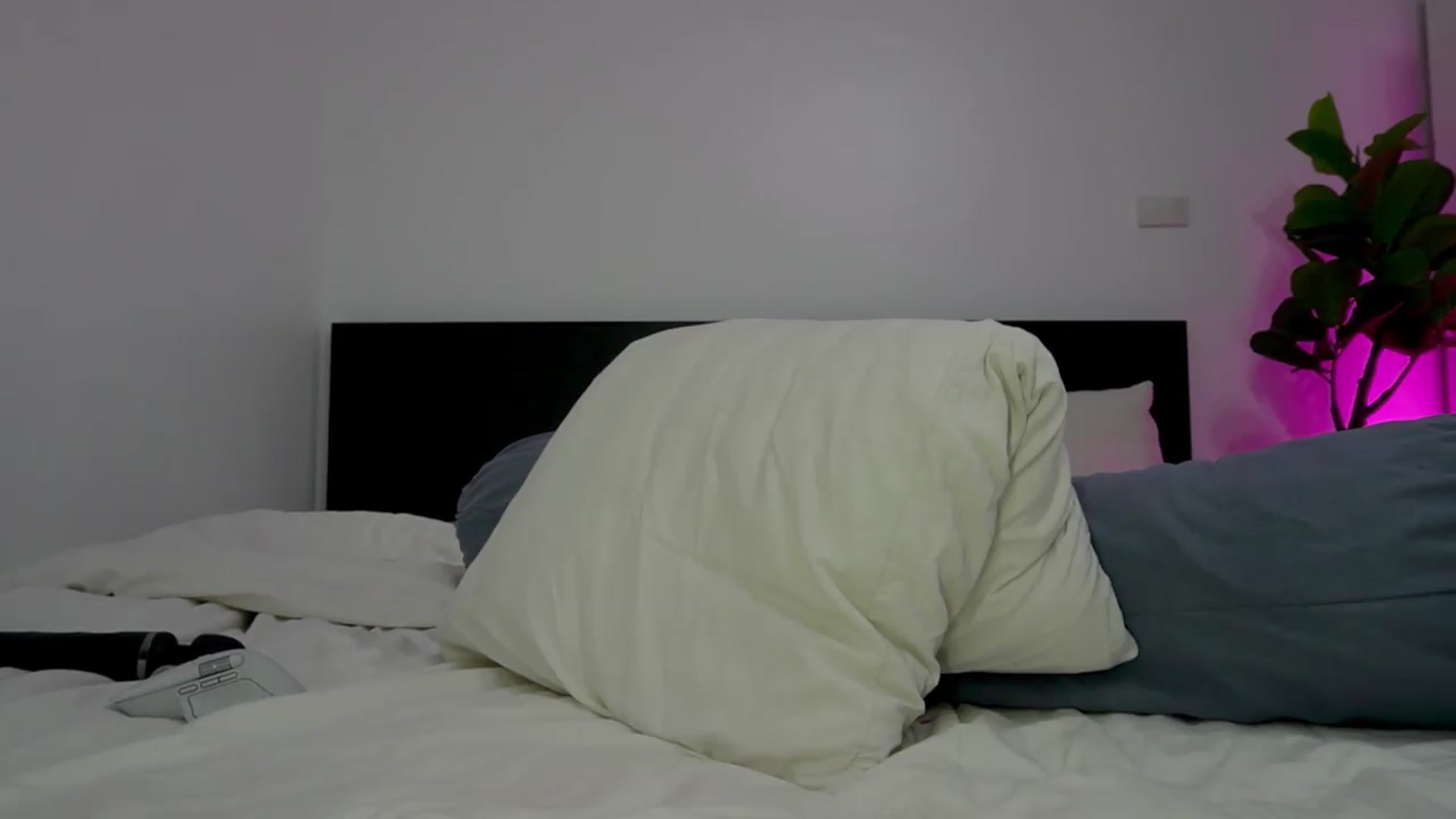 Gallery image thumbnail from Heeykitty's myfreecams stream on, 08/30/2026, 04:54 image 2 of 20