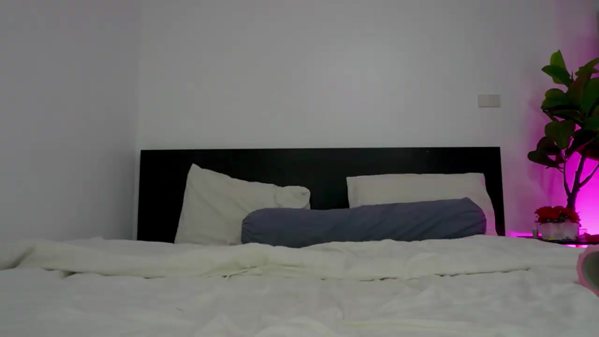 Gallery image thumbnail from Heeykitty's myfreecams stream on, 08/31/2026, 03:55 image 8 of 20