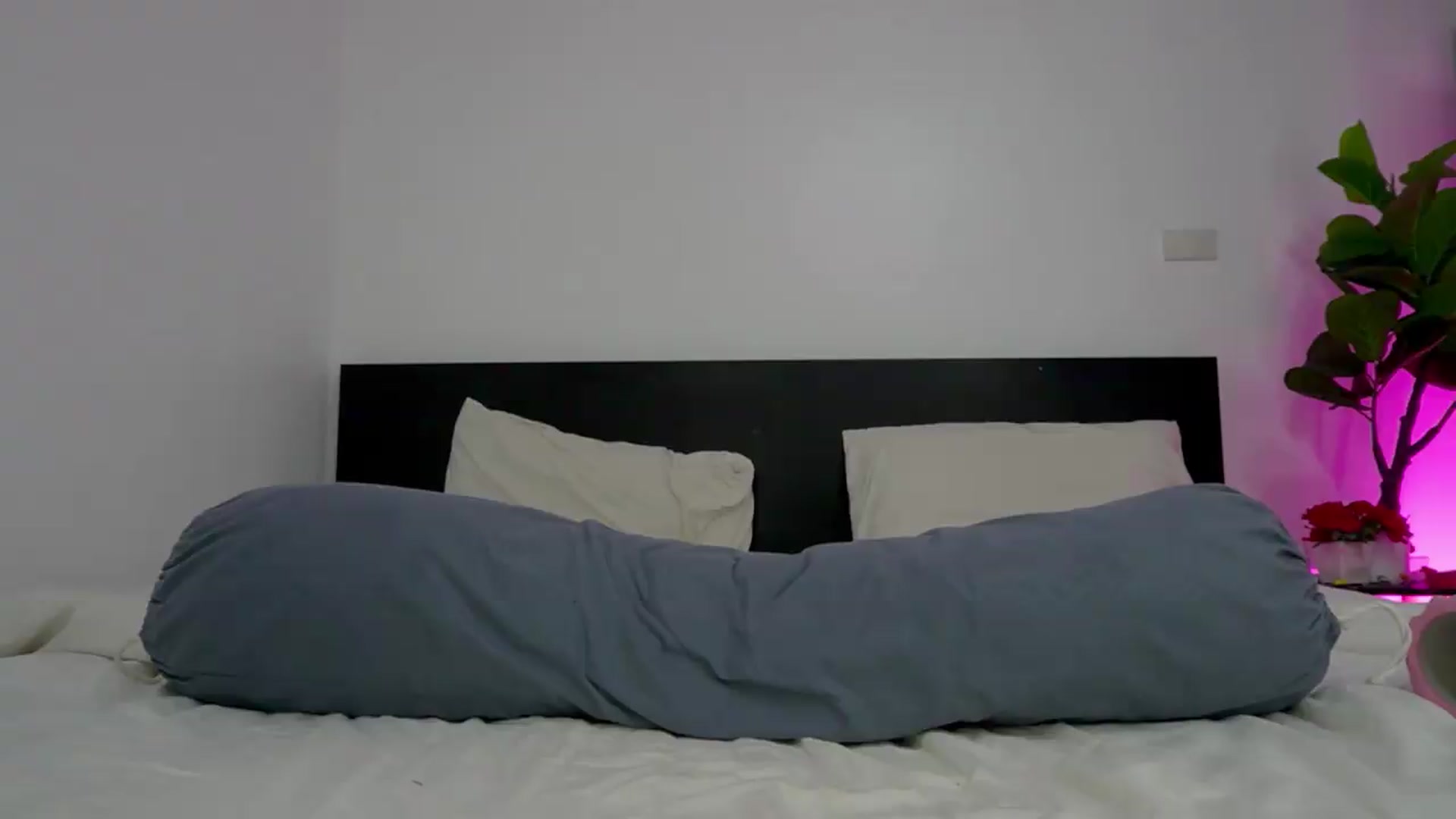 Gallery image thumbnail from Heeykitty's myfreecams stream on, 08/31/2026, 03:55 image 11 of 20