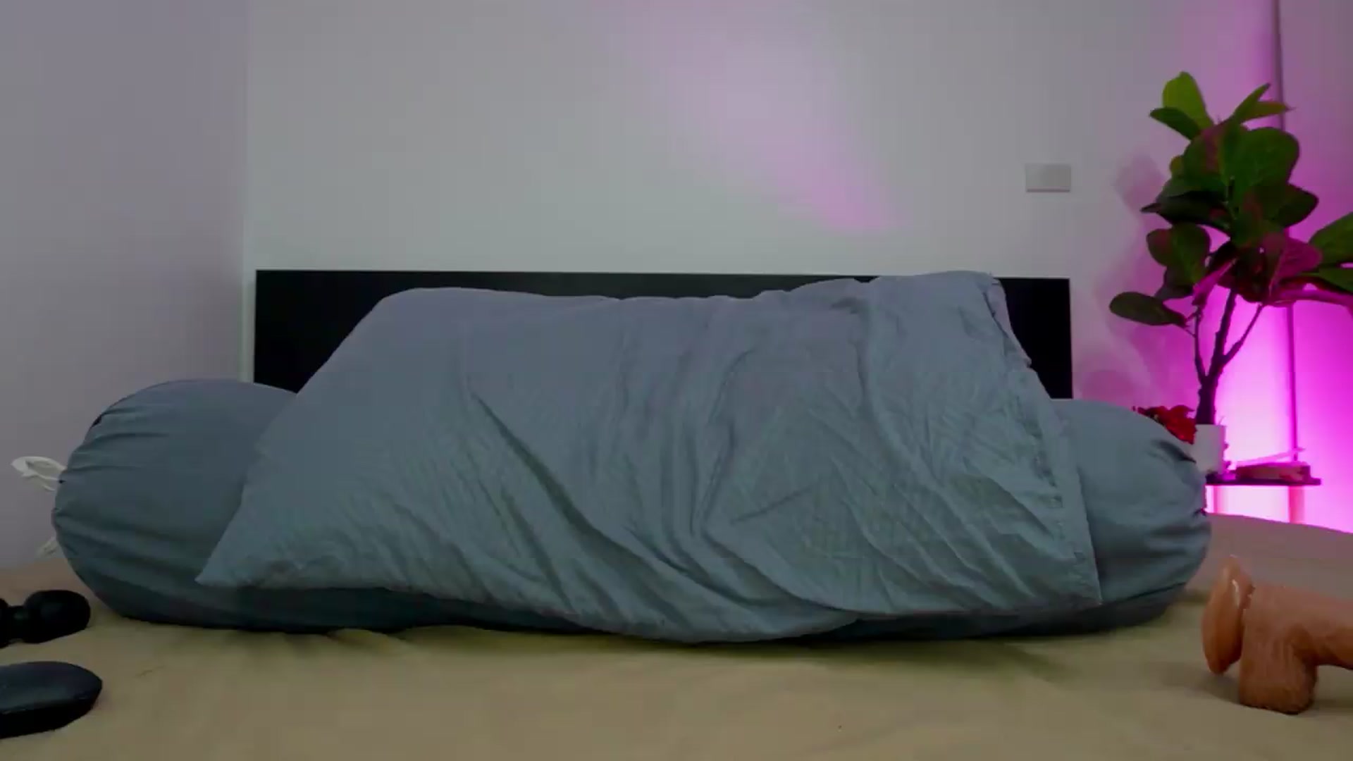 Gallery image thumbnail from Heeykitty's myfreecams stream on, 09/03/2026, 03:42 image 17 of 20