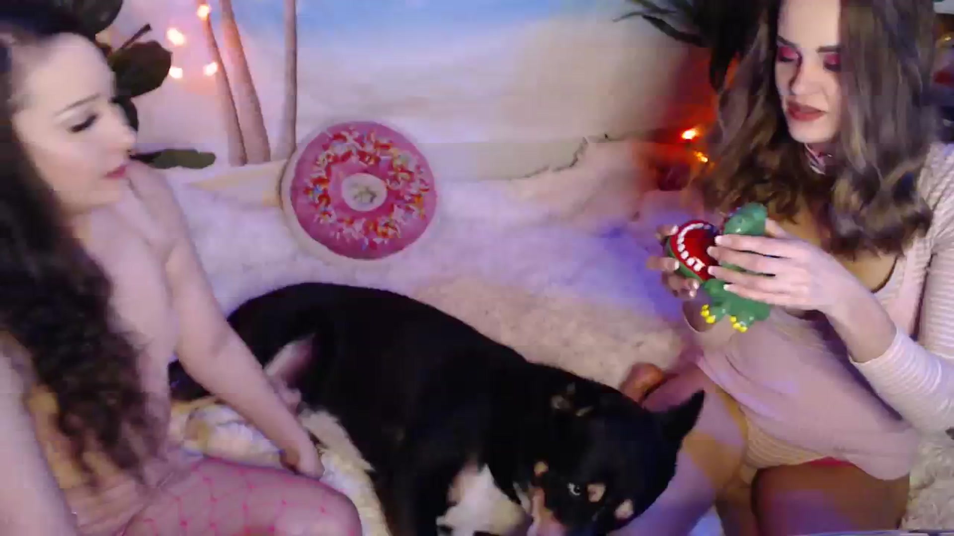 Gallery image thumbnail from HeidiKlumsy's myfreecams stream on, 08/03/2023, 05:43 image 2 of 20