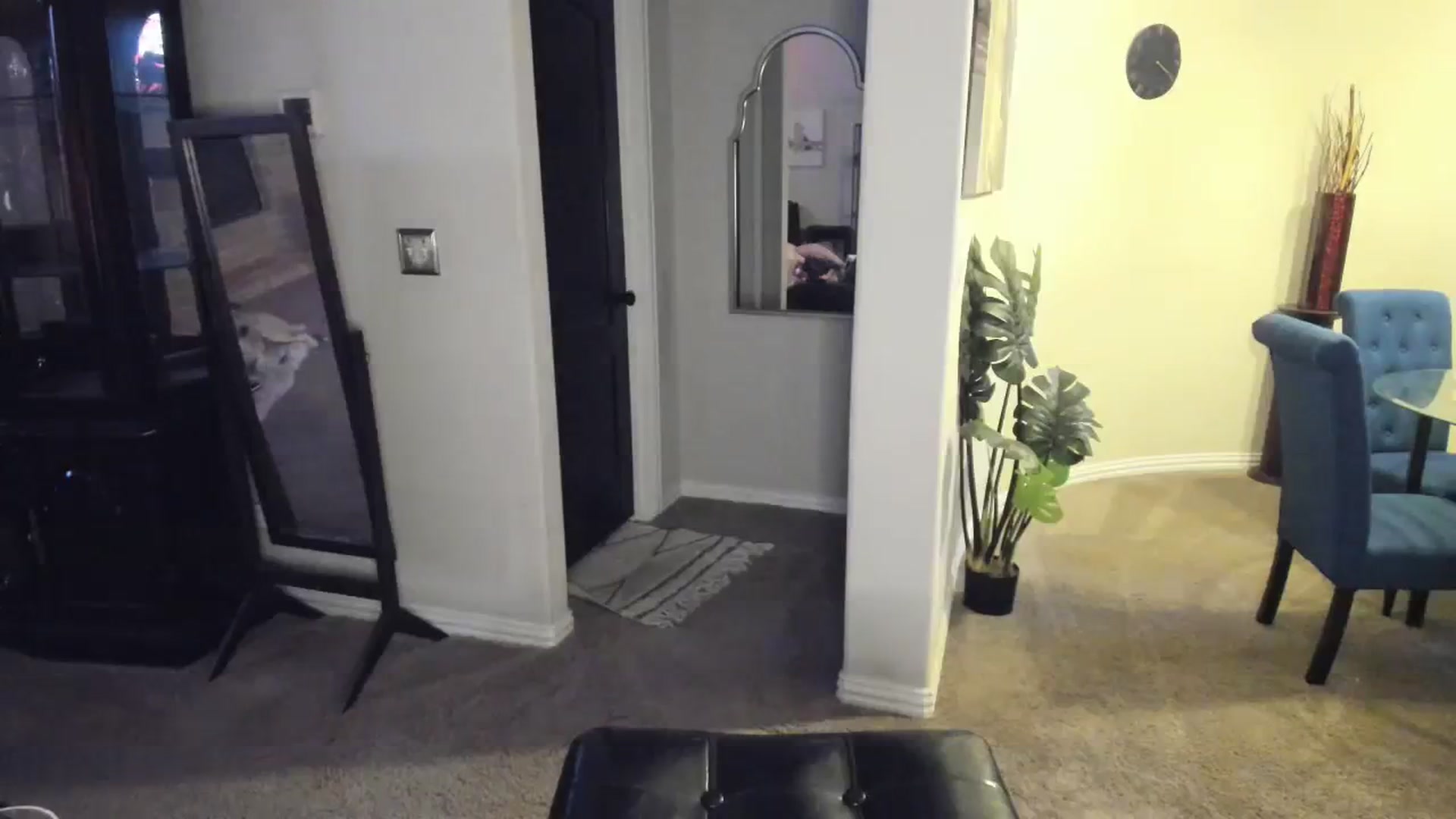 Gallery image thumbnail from HeidiKlumsy's myfreecams stream on, 11/18/2023, 24:16 image 8 of 20