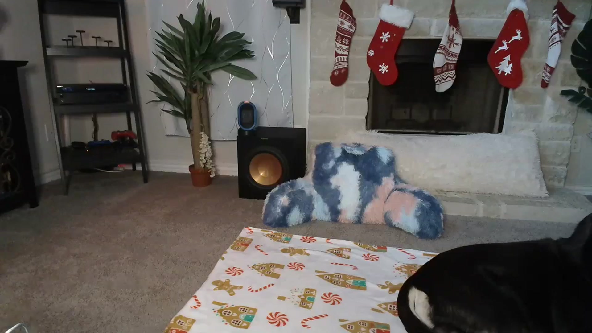 Gallery image thumbnail from HeidiKlumsy's myfreecams stream on, 12/15/2023, 19:54 image 4 of 20