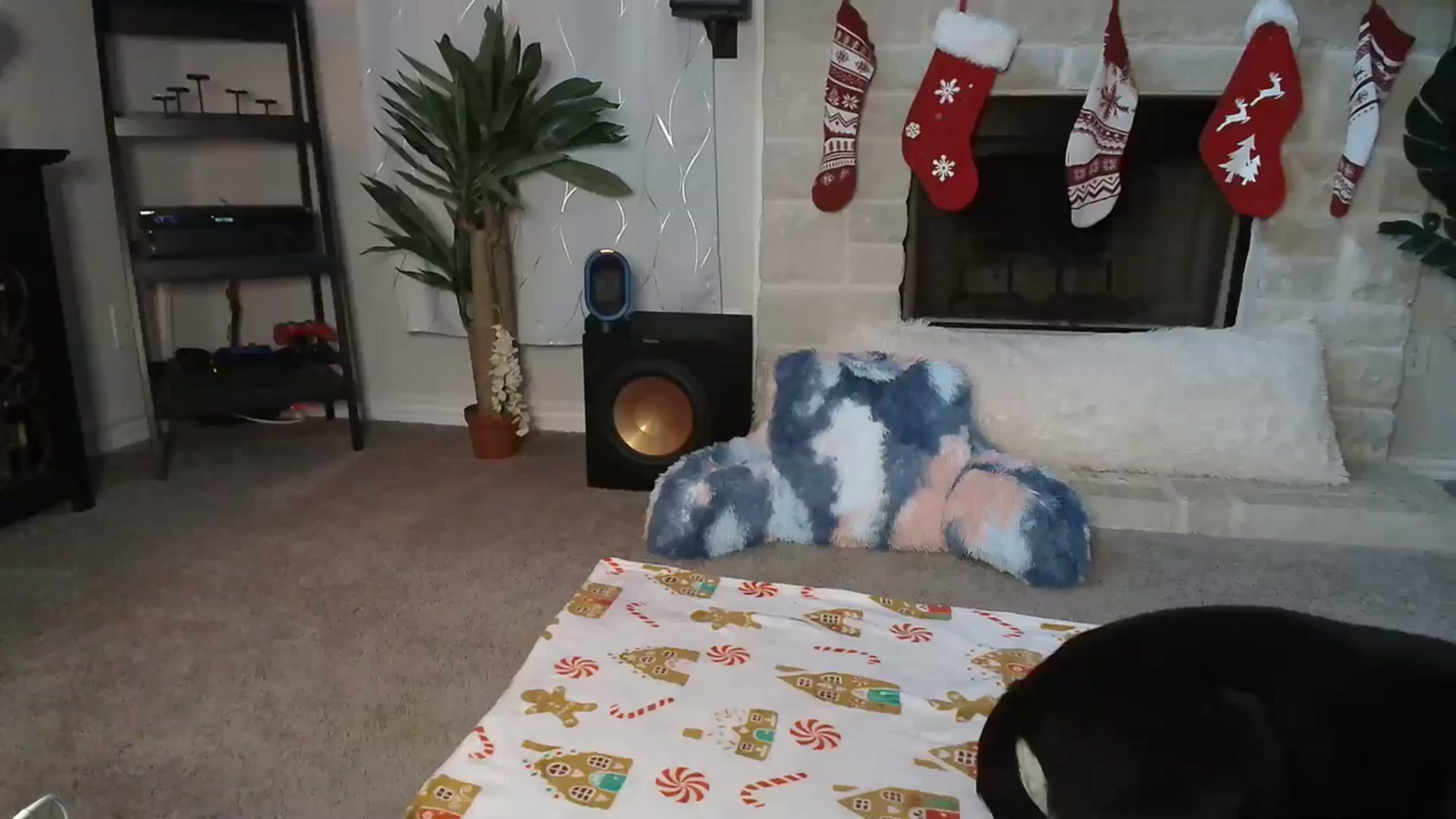 Gallery image thumbnail from HeidiKlumsy's myfreecams stream on, 12/15/2023, 19:54 image 5 of 20