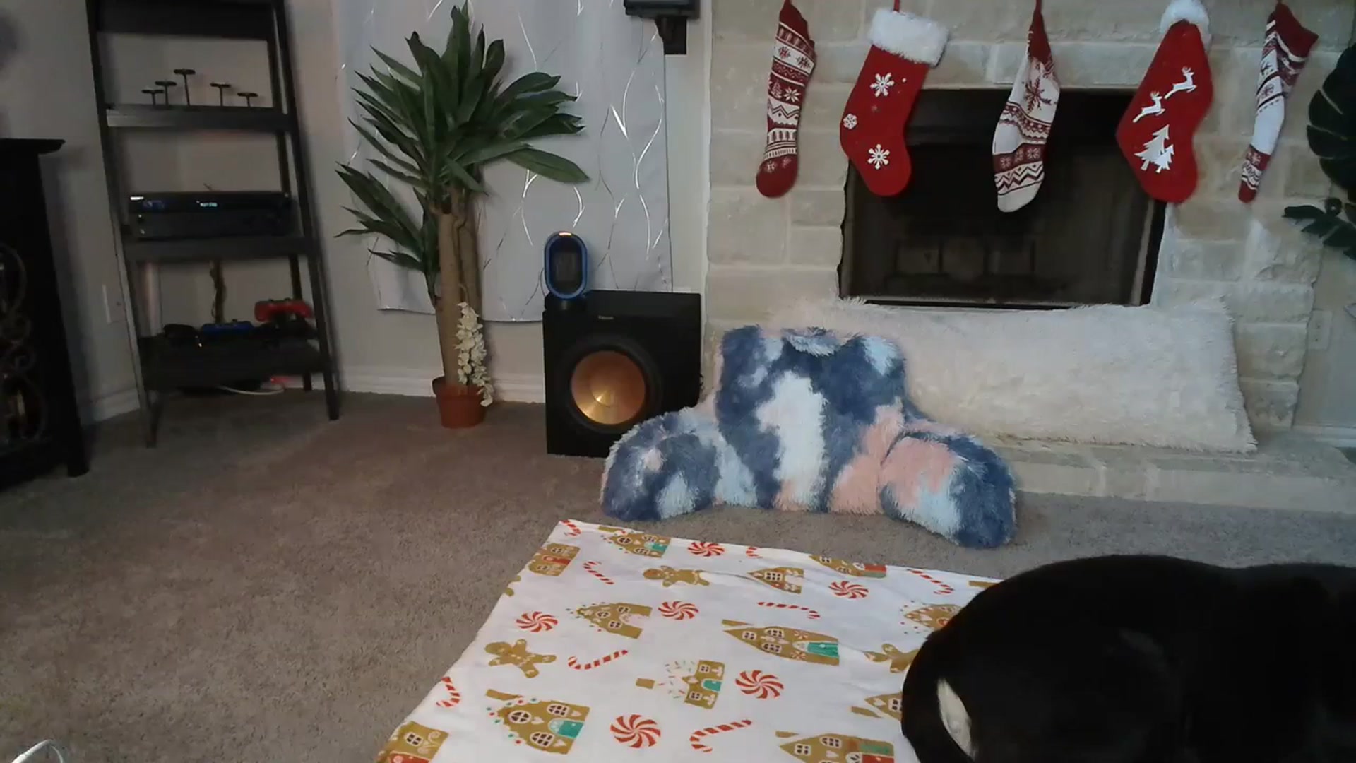 Gallery image thumbnail from HeidiKlumsy's myfreecams stream on, 12/15/2023, 19:54 image 6 of 20
