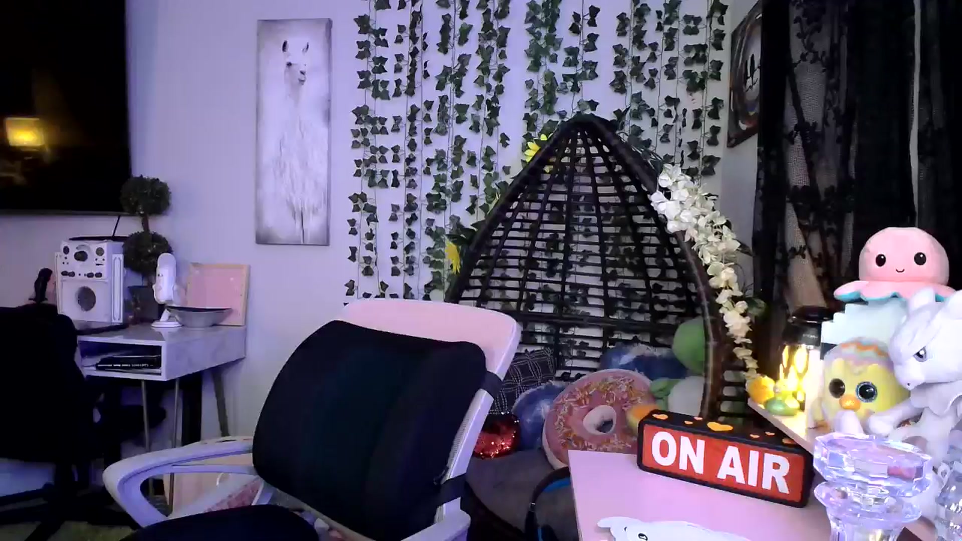 Gallery image thumbnail from HeidiKlumsy's myfreecams stream on, 09/13/2024, 05:33 image 15 of 20