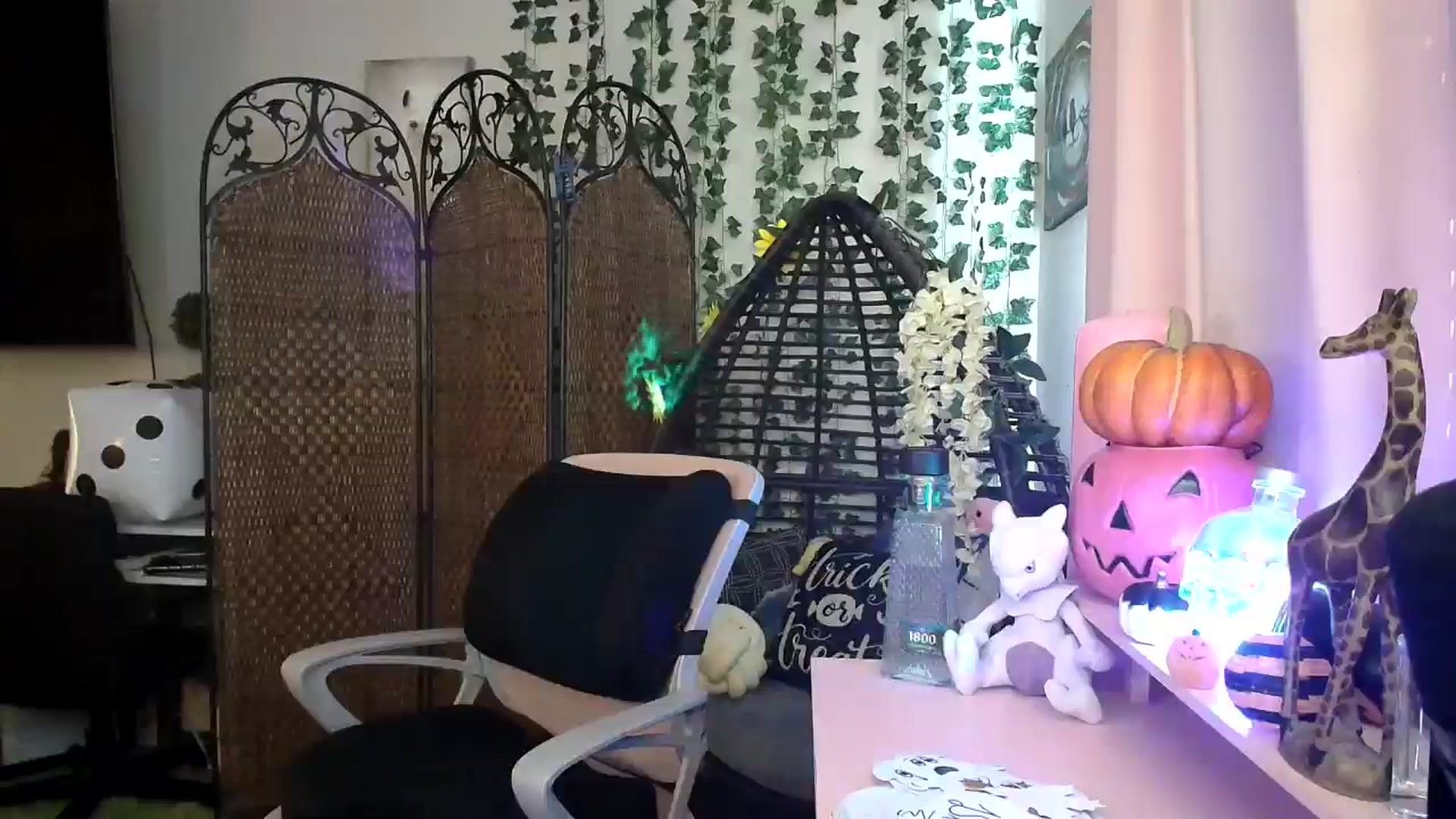 Gallery image thumbnail from HeidiKlumsy's myfreecams stream on, 10/03/2024, 23:22 image 12 of 20