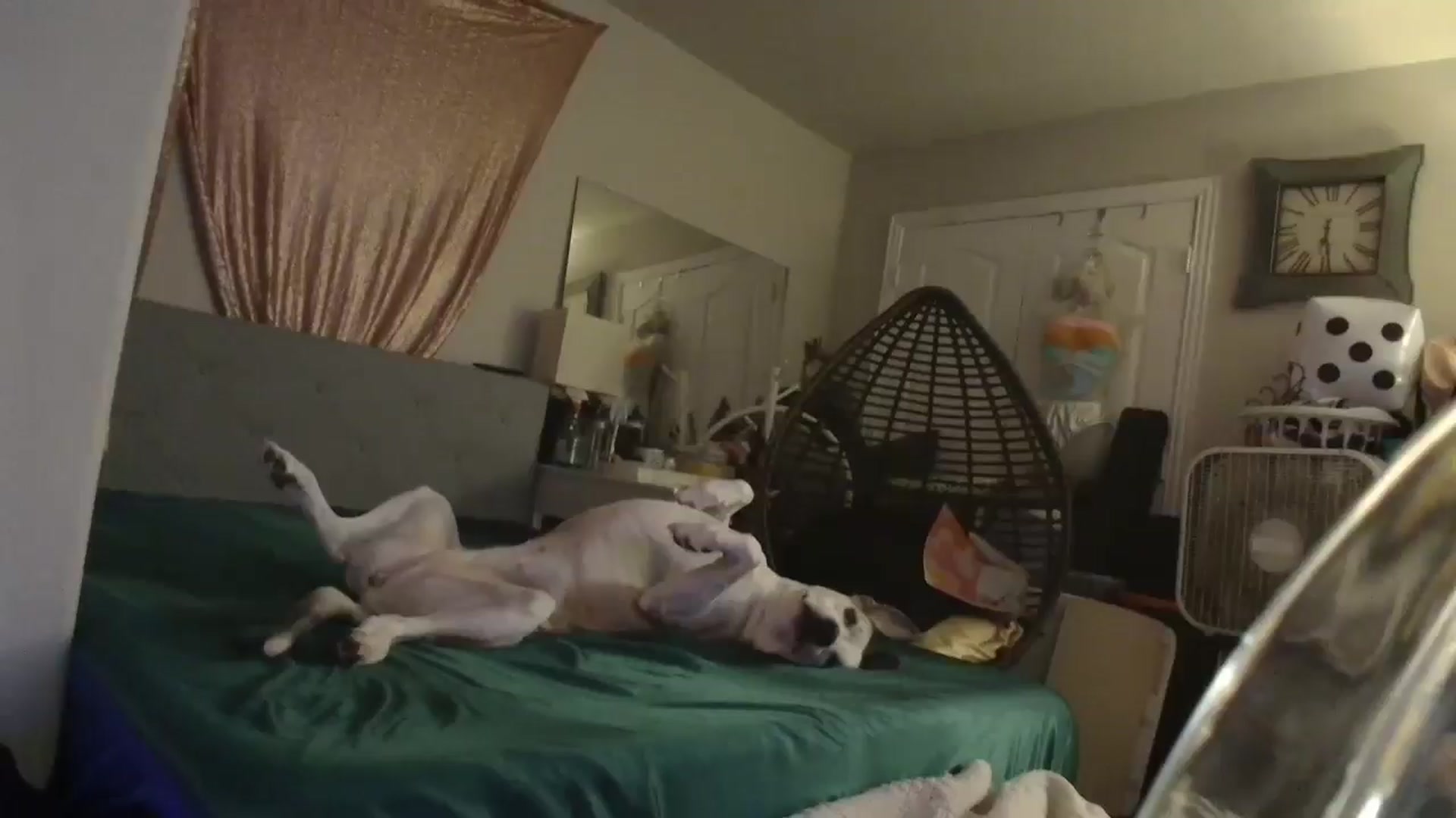 Gallery image thumbnail from HeidiKlumsy's myfreecams stream on, 10/15/2024, 02:27 image 4 of 20