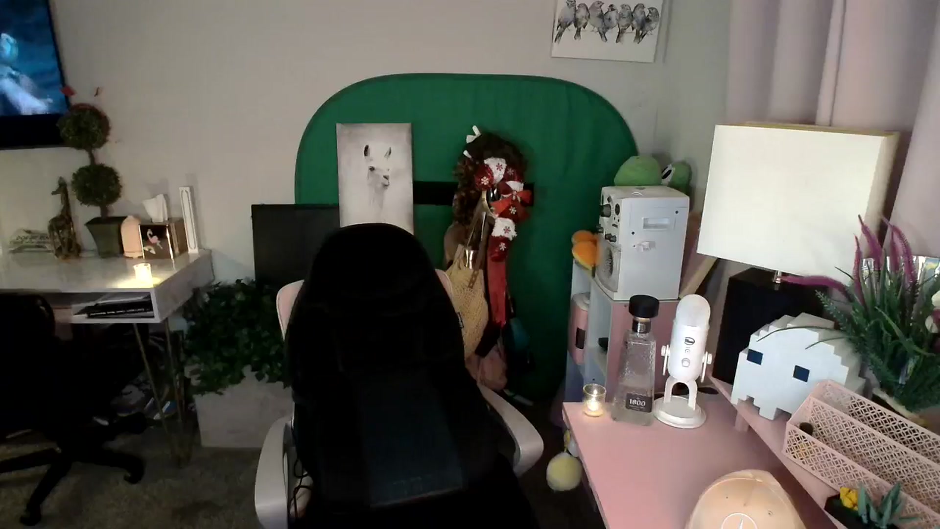 Gallery image thumbnail from HeidiKlumsy's myfreecams stream on, 11/09/2024, 09:18 image 7 of 20
