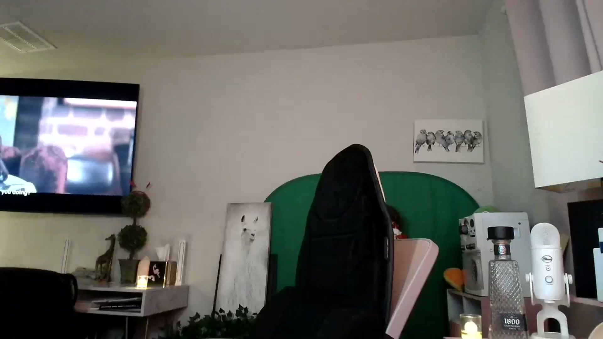 Gallery image thumbnail from HeidiKlumsy's myfreecams stream on, 11/09/2024, 09:18 image 14 of 20