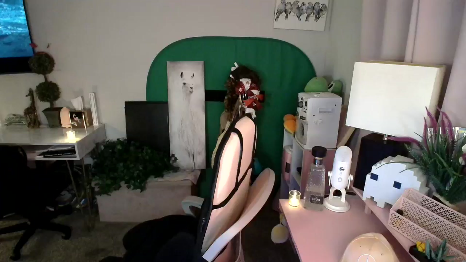 Gallery image thumbnail from HeidiKlumsy's myfreecams stream on, 11/09/2024, 09:18 image 8 of 20