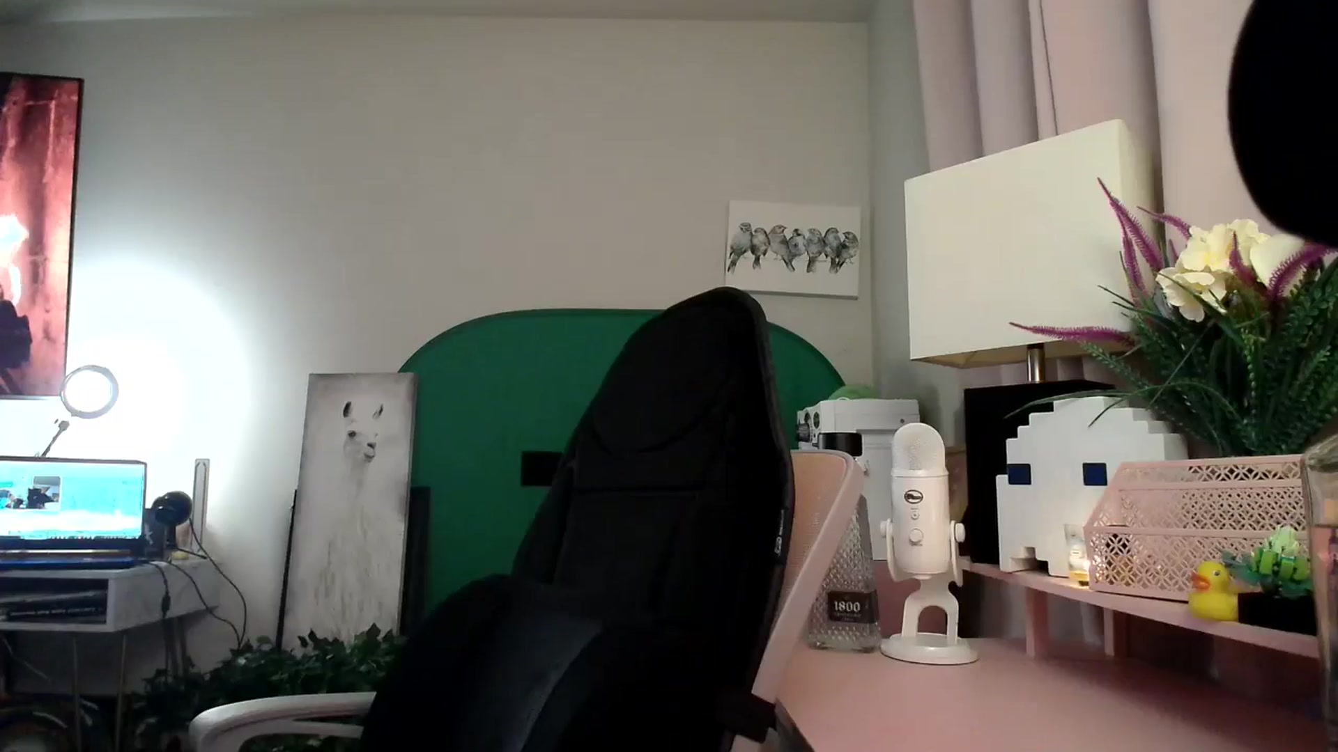 Gallery image thumbnail from HeidiKlumsy's myfreecams stream on, 11/10/2024, 06:31 image 9 of 20