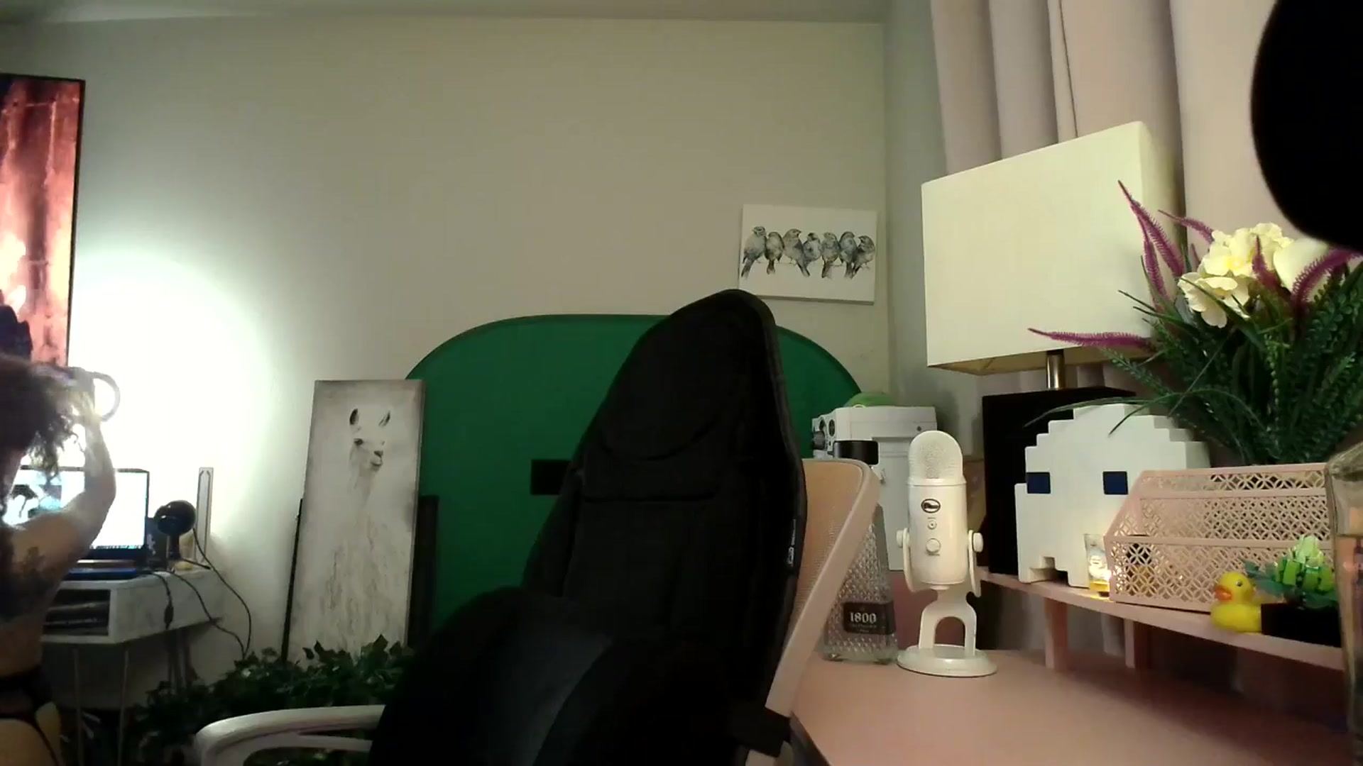 Gallery image thumbnail from HeidiKlumsy's myfreecams stream on, 11/10/2024, 06:31 image 7 of 20