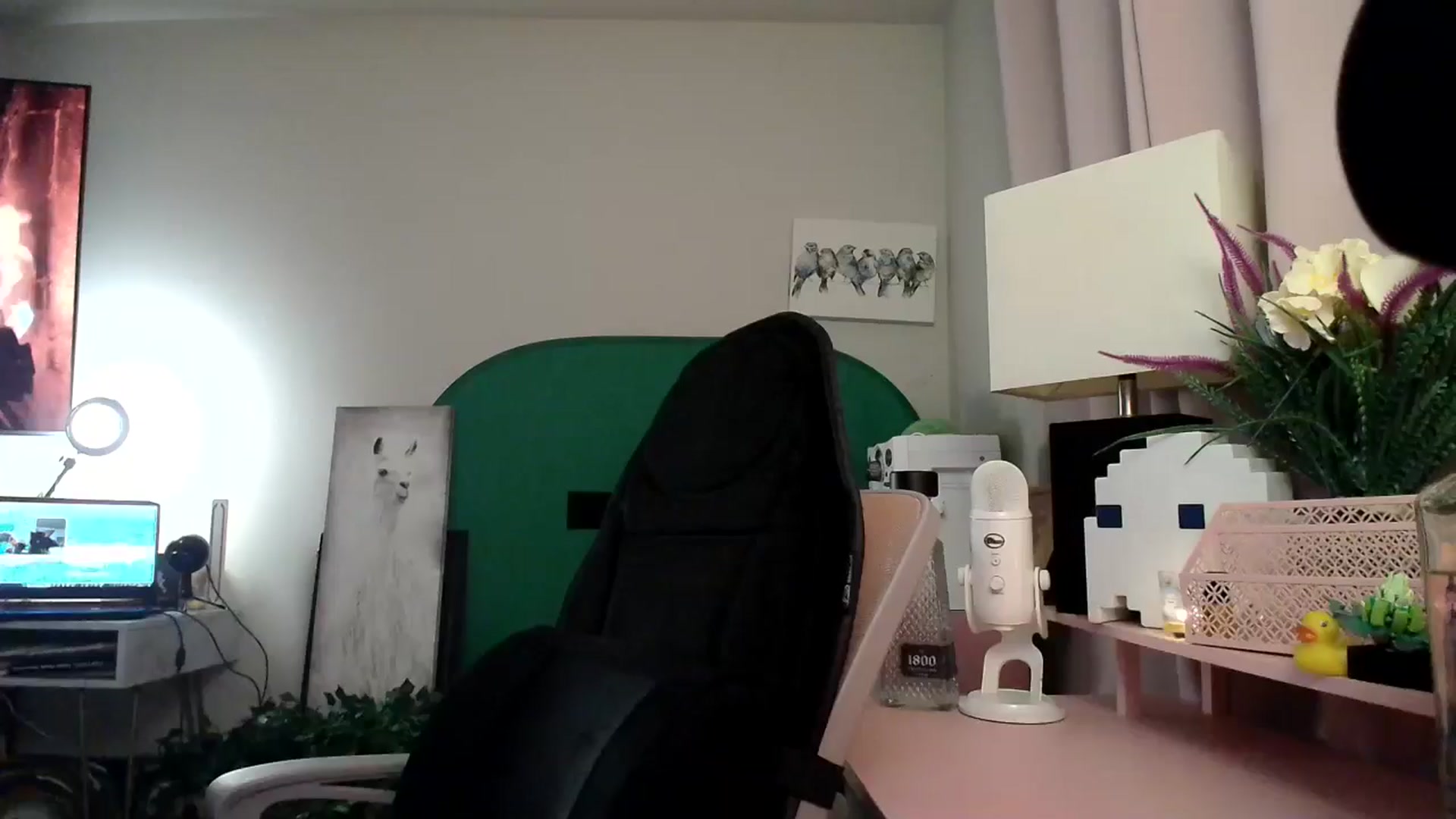 Gallery image thumbnail from HeidiKlumsy's myfreecams stream on, 11/10/2024, 06:31 image 8 of 20