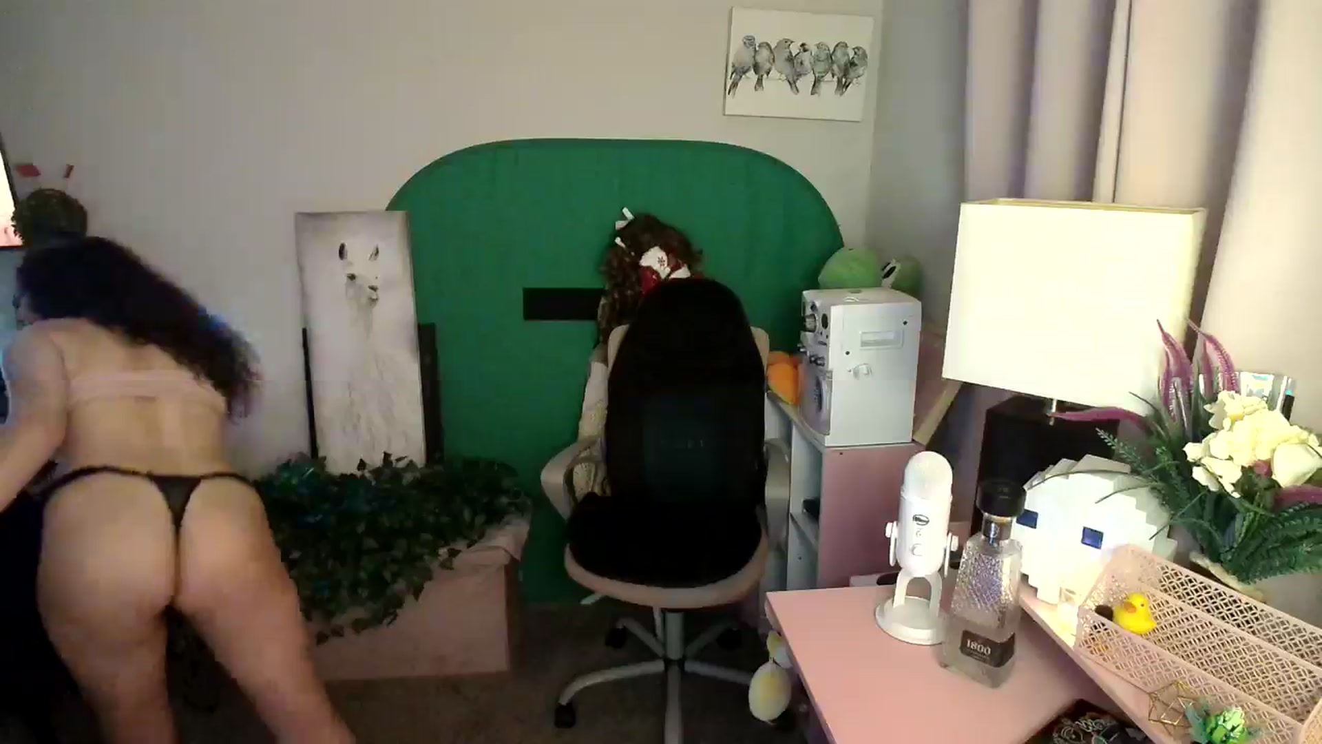 Gallery image thumbnail from HeidiKlumsy's myfreecams stream on, 11/10/2024, 09:21 image 7 of 20