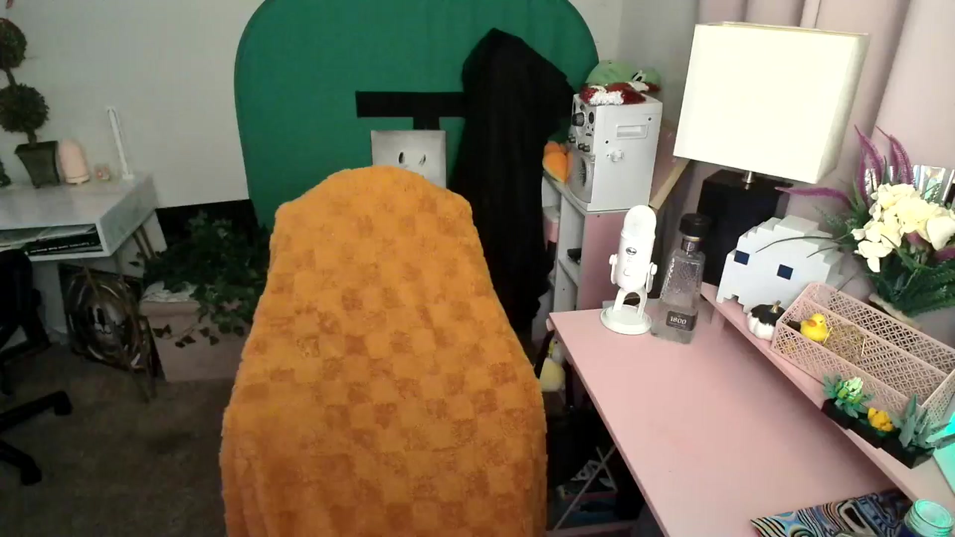 Gallery image thumbnail from HeidiKlumsy's myfreecams stream on, 11/11/2024, 04:46 image 5 of 20