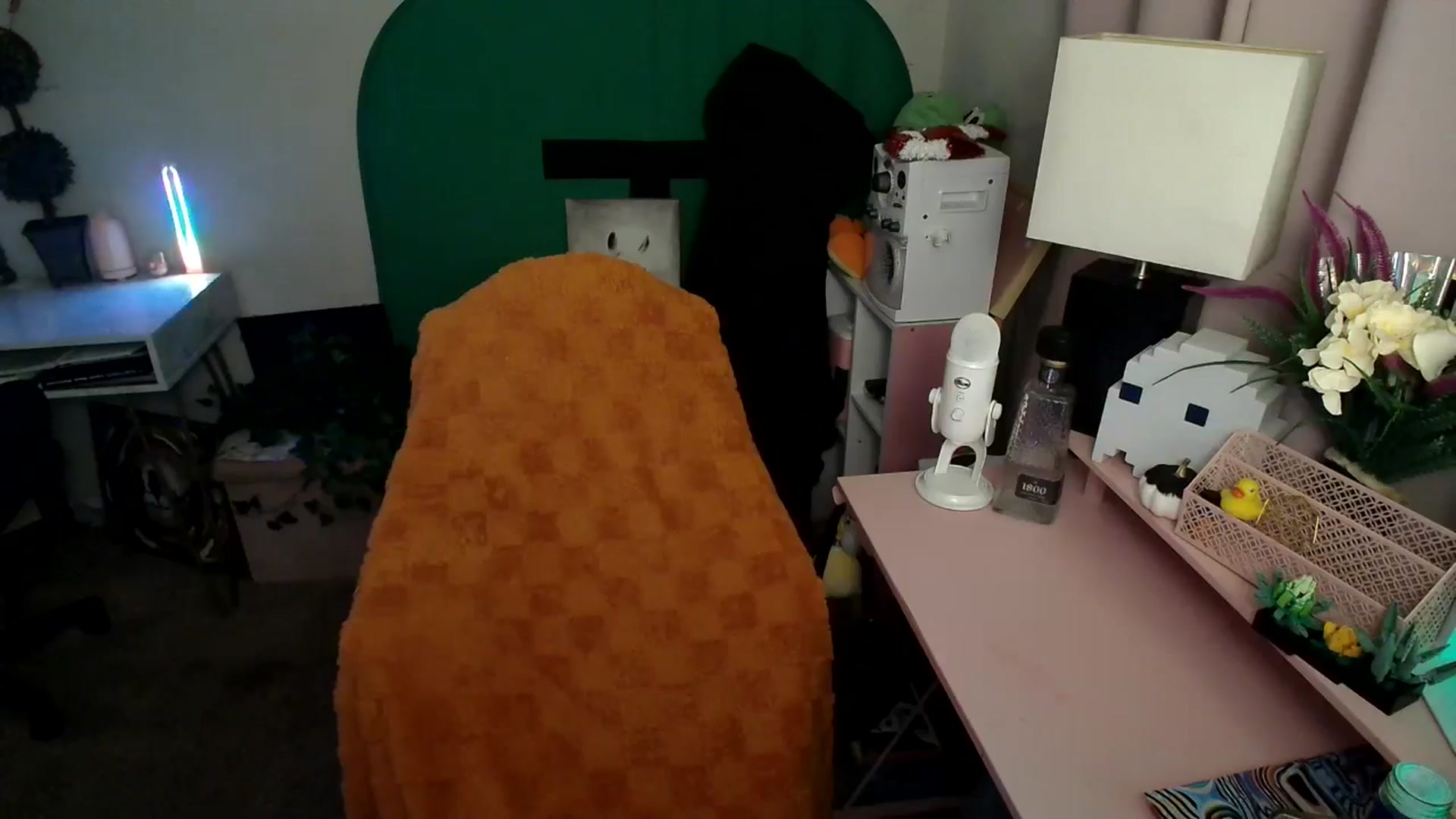 Gallery image thumbnail from HeidiKlumsy's myfreecams stream on, 11/11/2024, 04:46 image 4 of 20