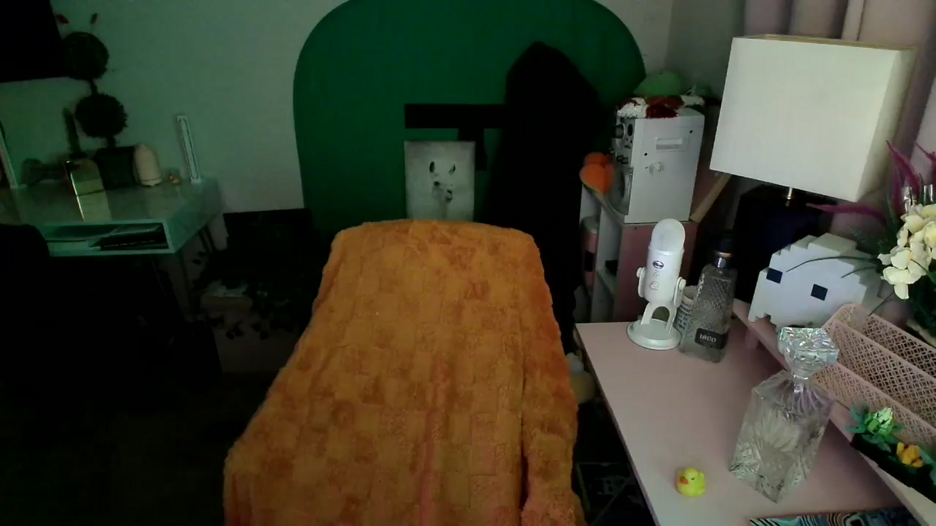 Gallery image thumbnail from HeidiKlumsy's myfreecams stream on, 11/11/2024, 06:36 image 13 of 20