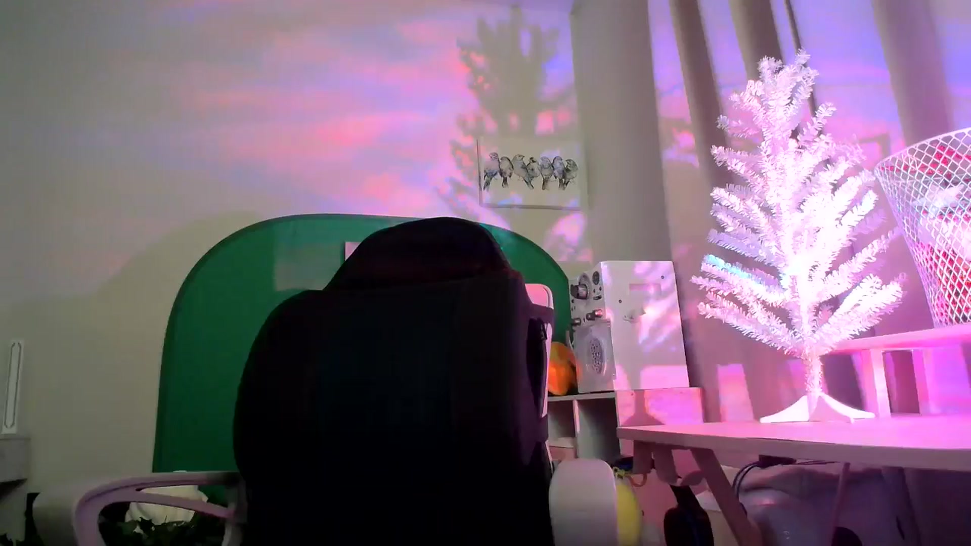 Gallery image thumbnail from HeidiKlumsy's myfreecams stream on, 12/01/2024, 23:55 image 6 of 20