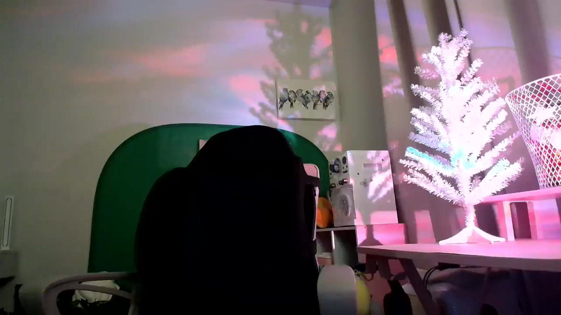 Gallery image thumbnail from HeidiKlumsy's myfreecams stream on, 12/01/2024, 23:55 image 7 of 20