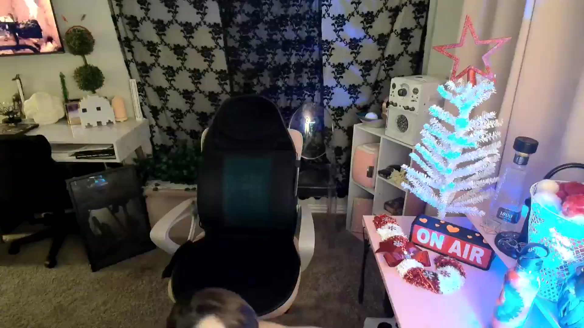 Gallery image thumbnail from HeidiKlumsy's myfreecams stream on, 12/03/2024, 05:02 image 17 of 20