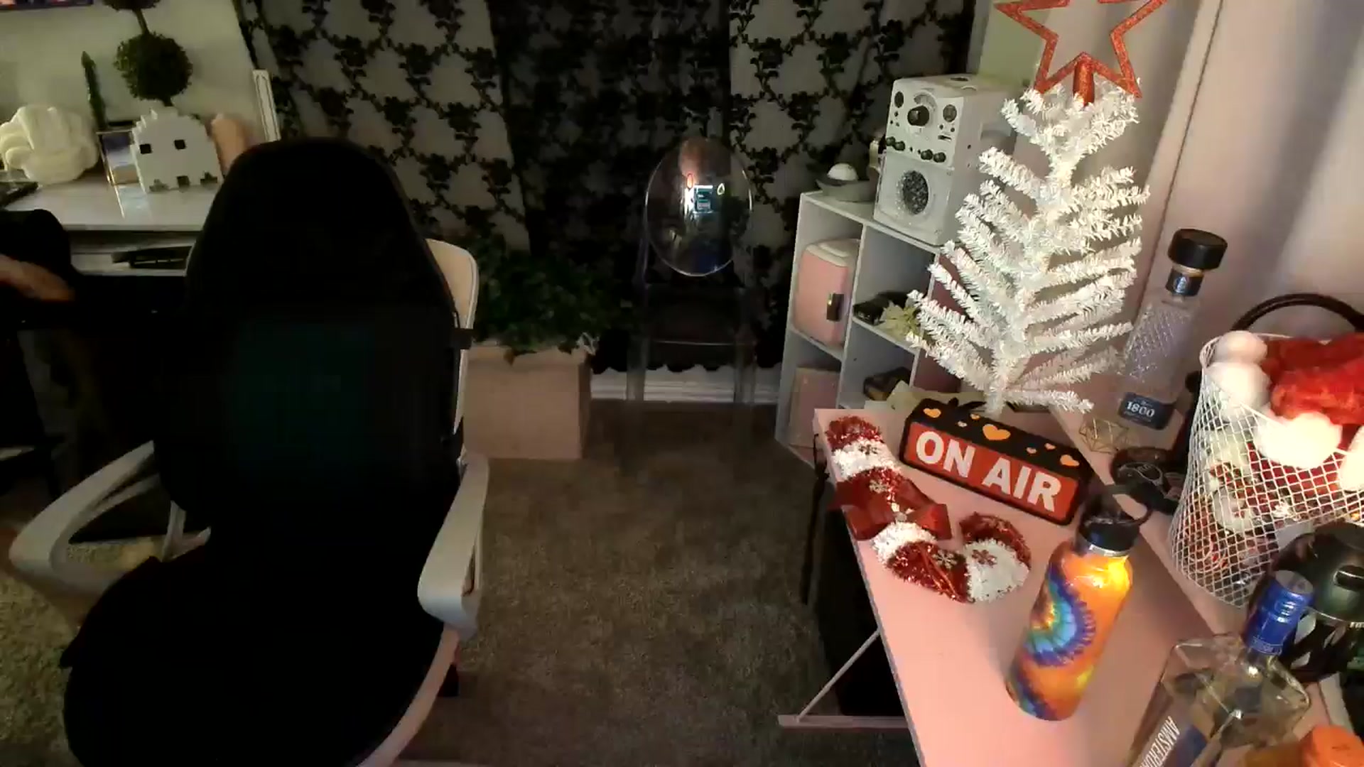 Gallery image thumbnail from HeidiKlumsy's myfreecams stream on, 12/03/2024, 05:02 image 11 of 20